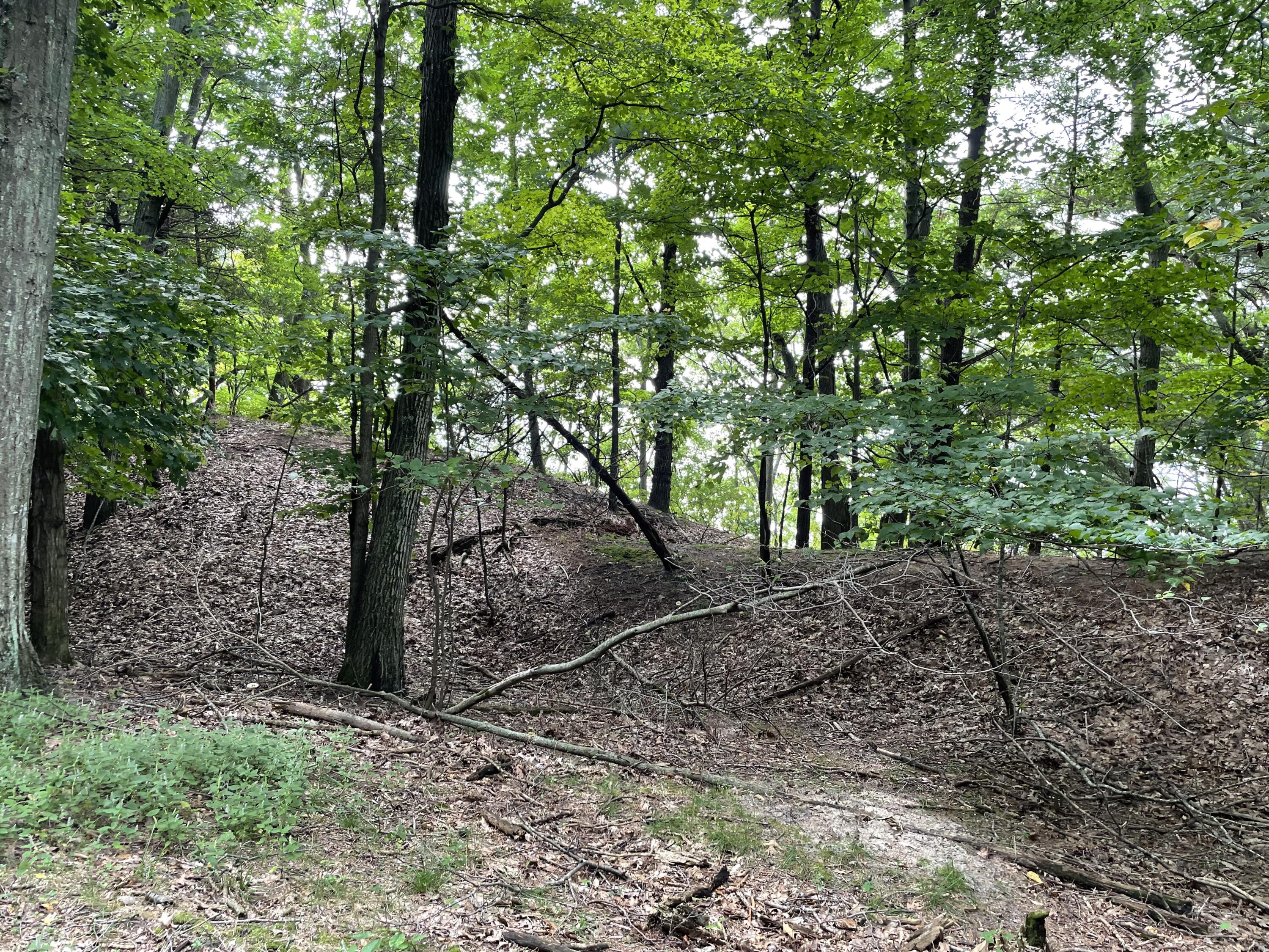 2087 S Glen Road Property Photo 26