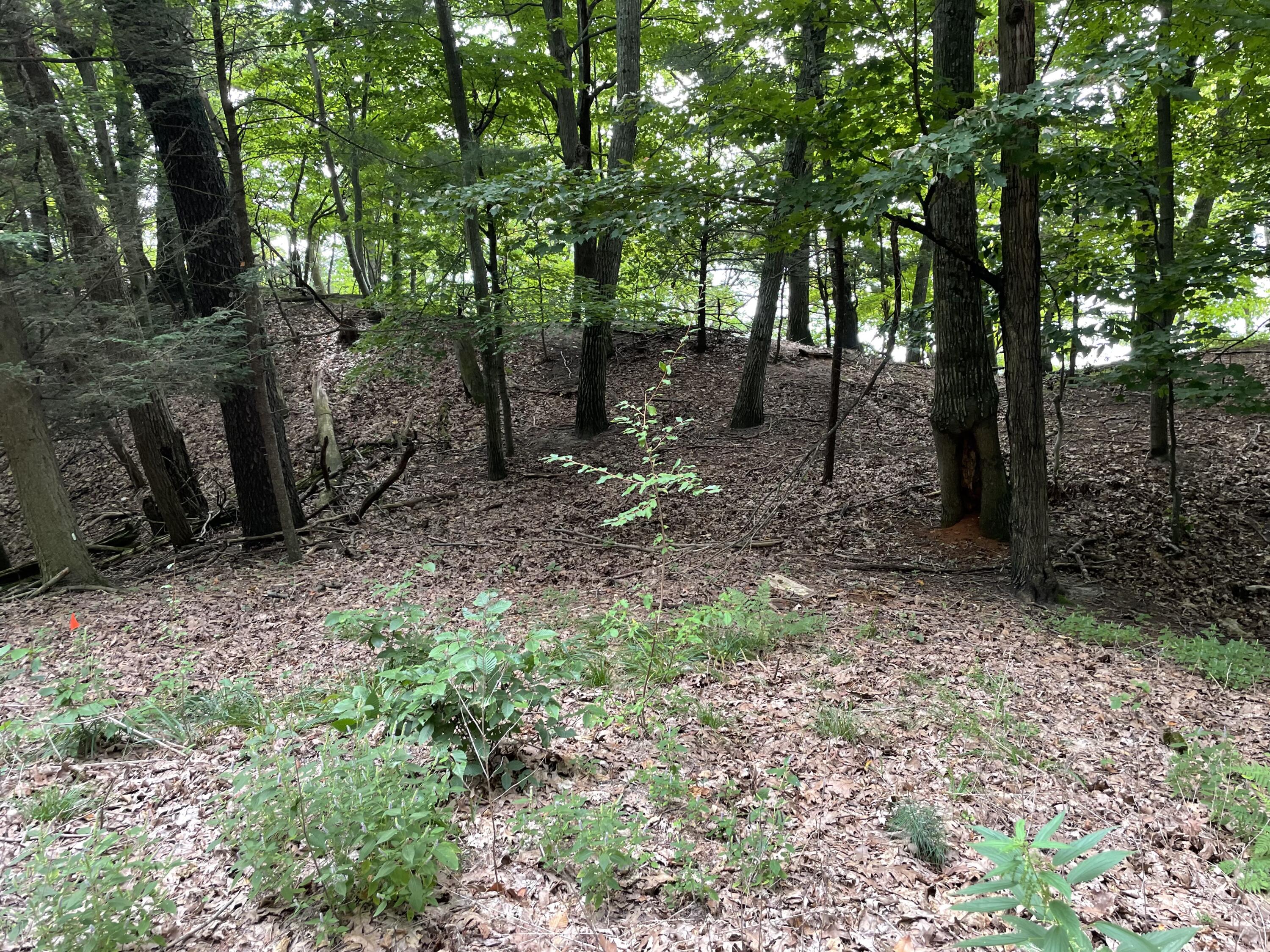 2087 S Glen Road Property Photo 27