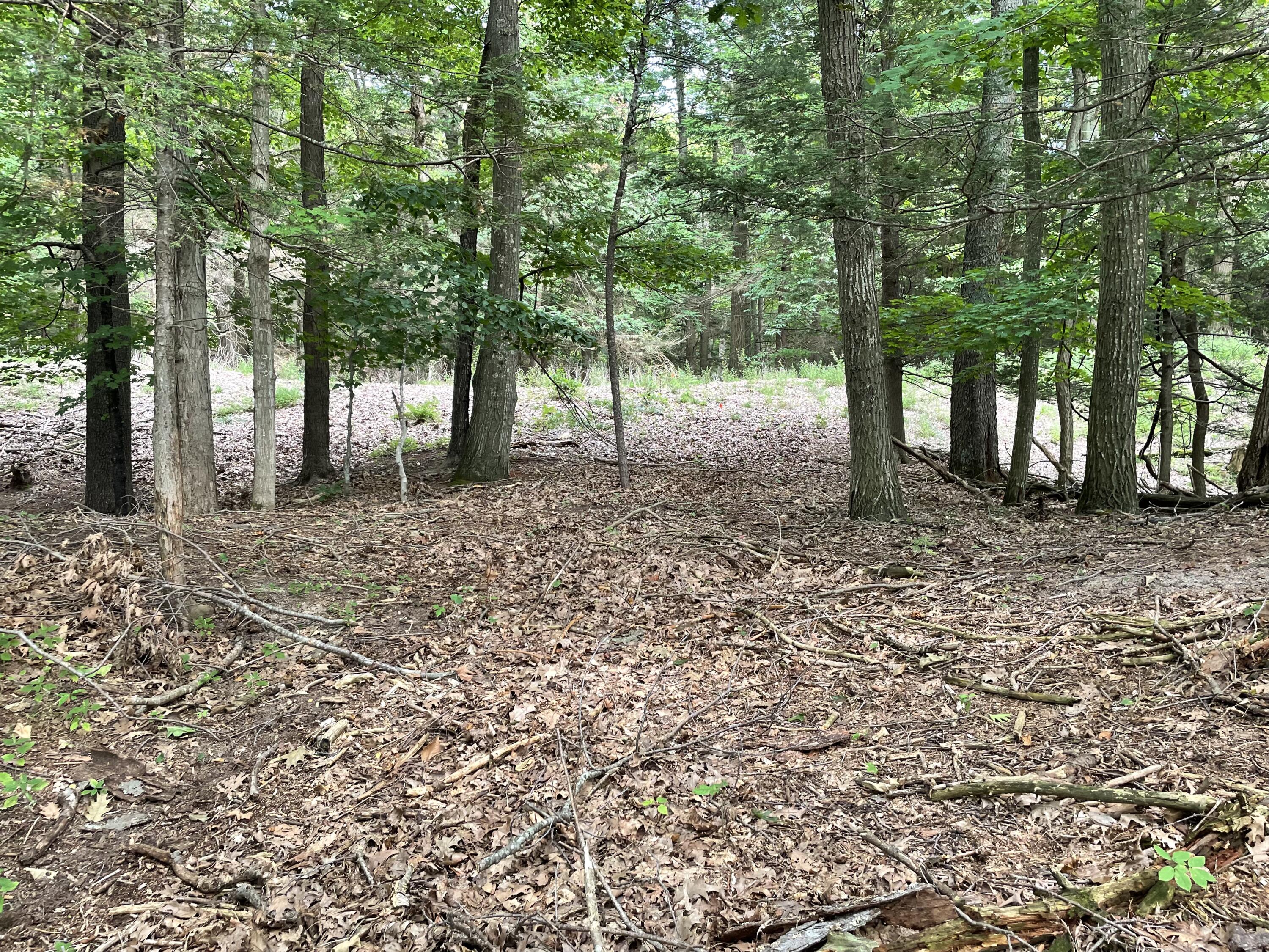 2087 S Glen Road Property Photo 28