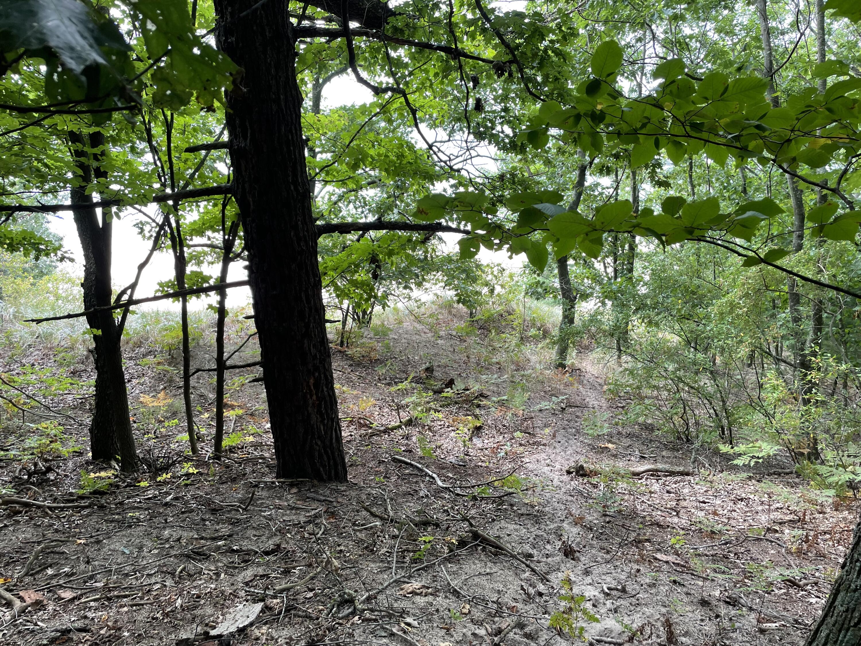 2087 S Glen Road Property Photo 29