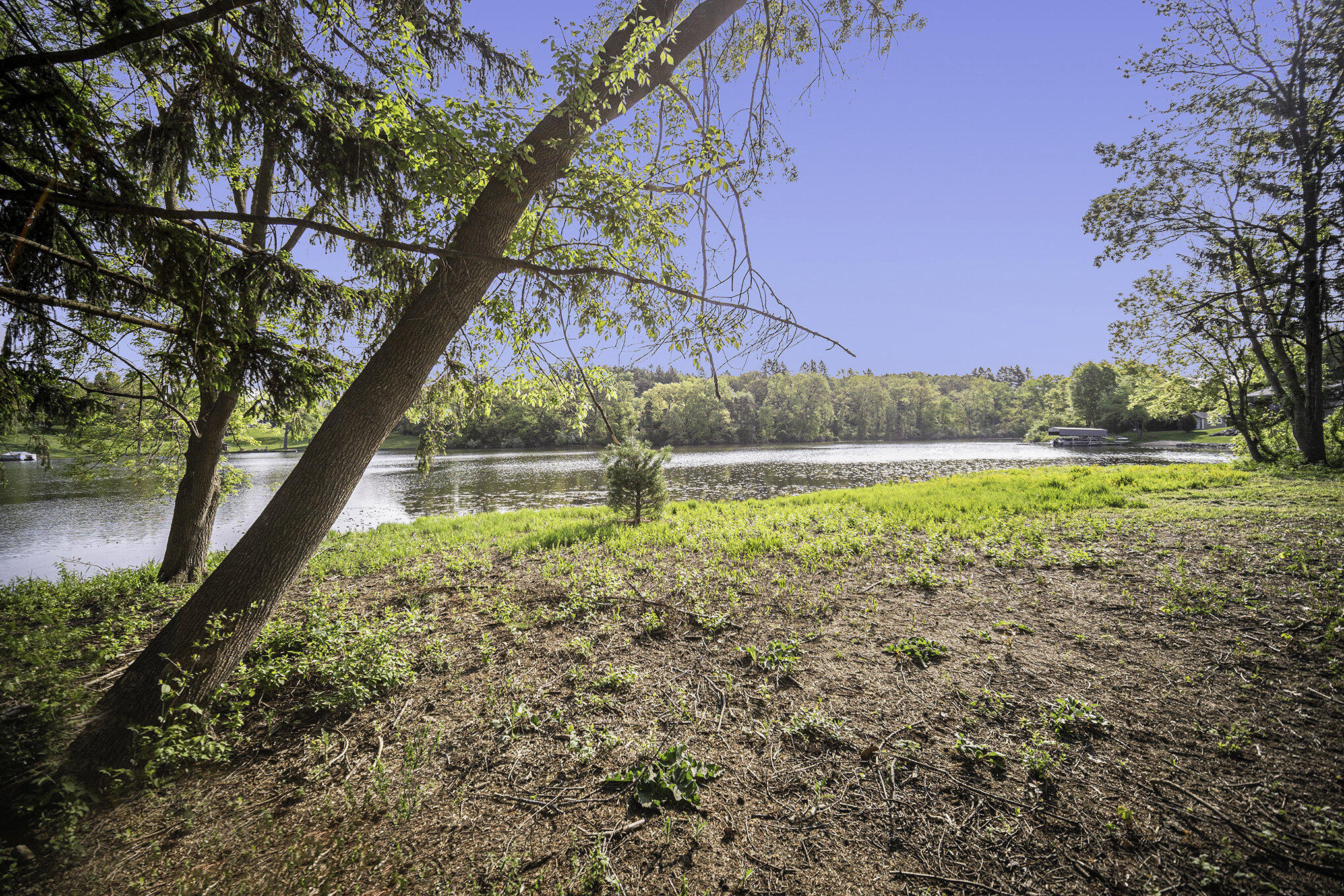 11248 Lemott Circle Property Photo 3