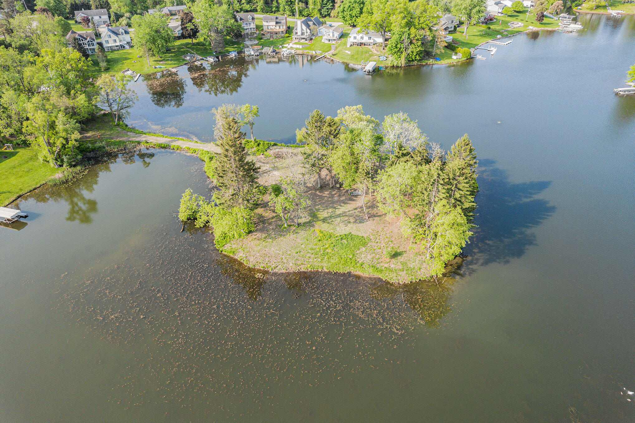 11248 Lemott Circle Property Photo 11