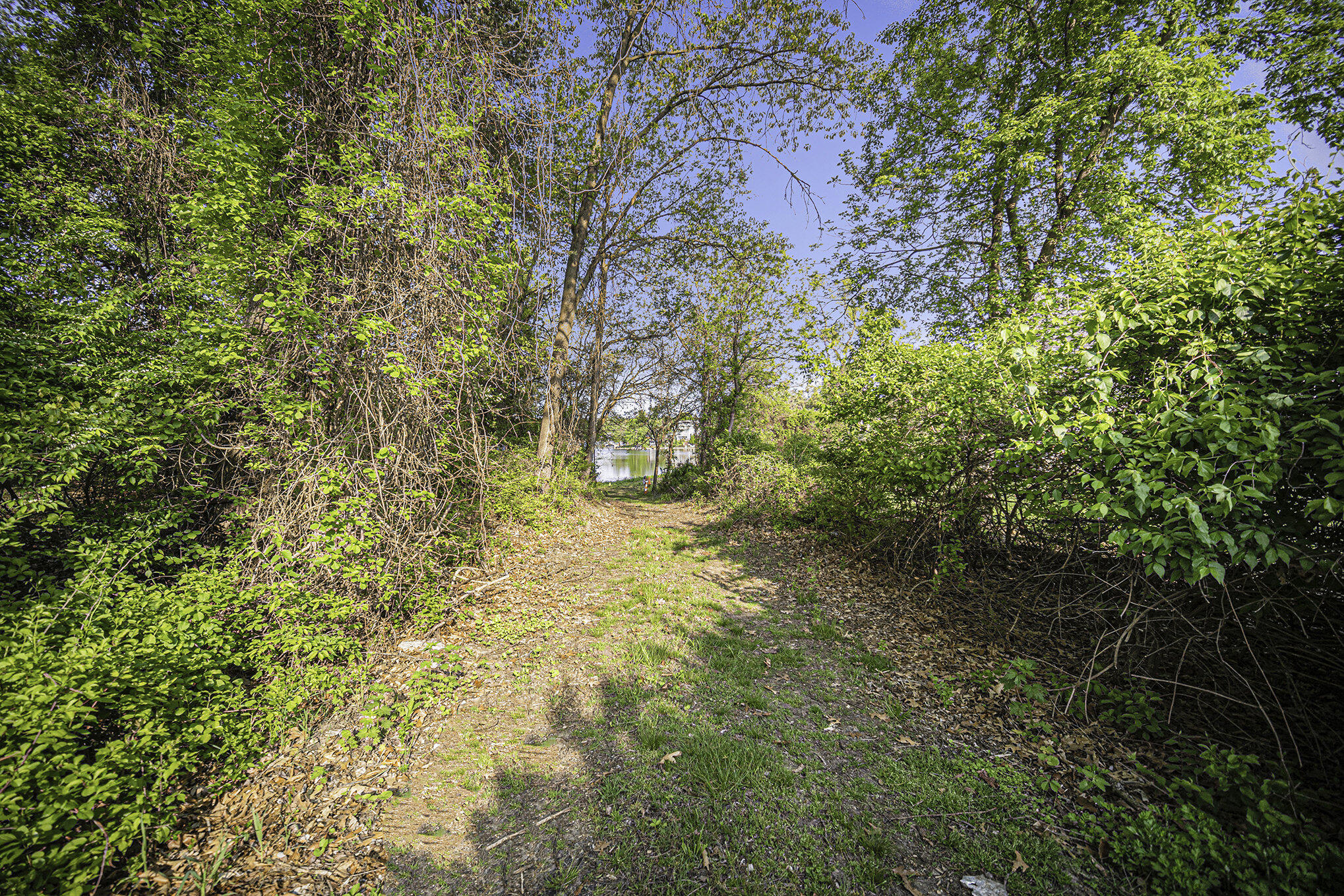 11248 Lemott Circle Property Photo 22
