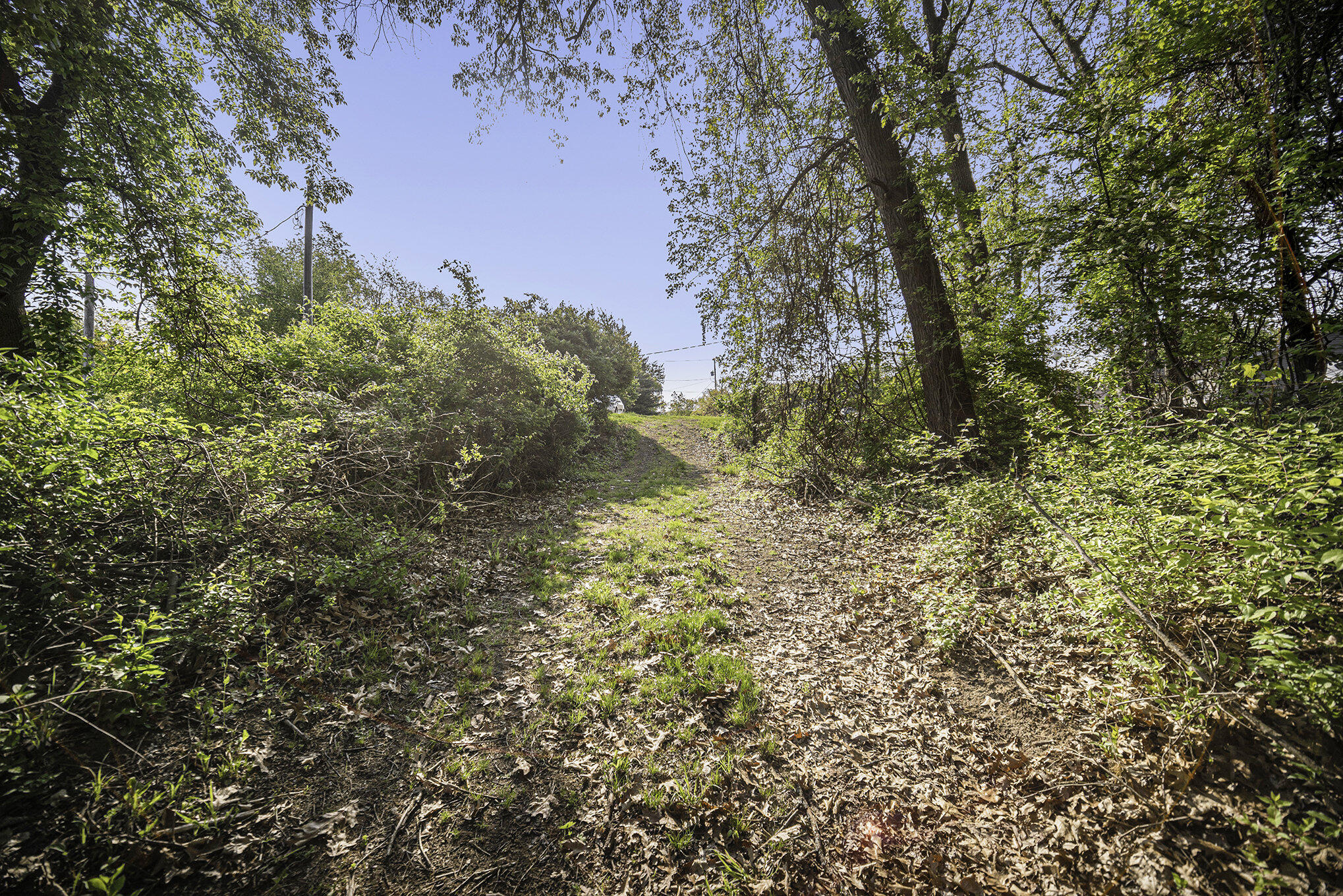 11248 Lemott Circle Property Photo 26