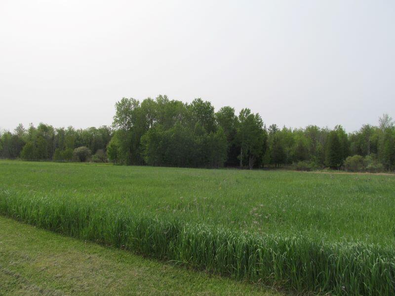 Lot #19 Hemlock Street Property Photo 11
