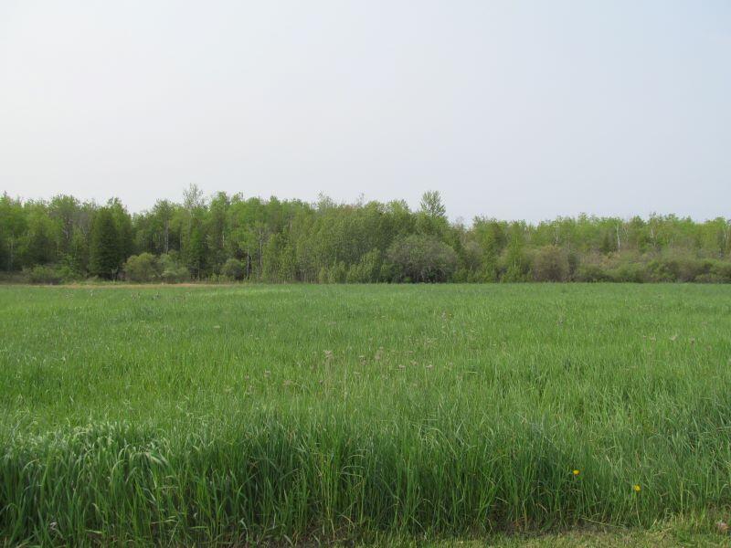 Lot #19 Hemlock Street Property Photo 12
