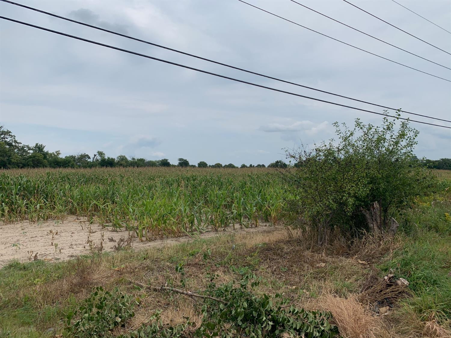 8501 Martz Road Property Photo 4