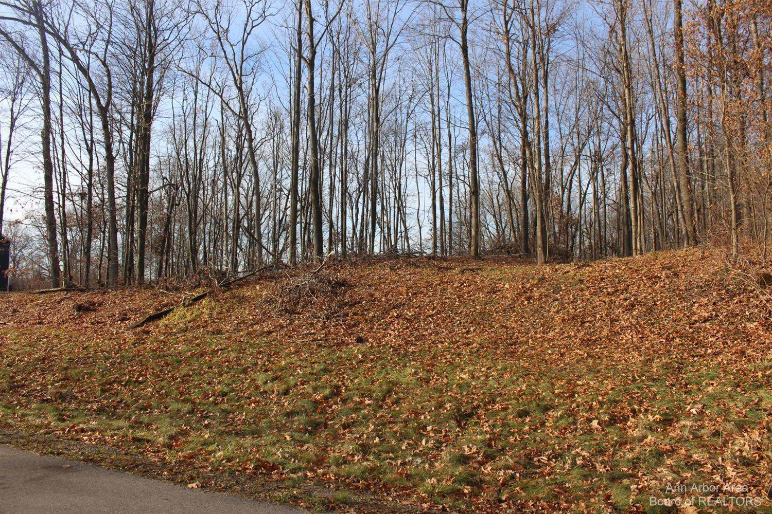 0 Lindsey Unit 13 Road Property Photo 1