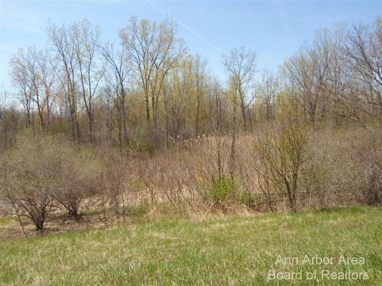 1 E Main Property Photo 9
