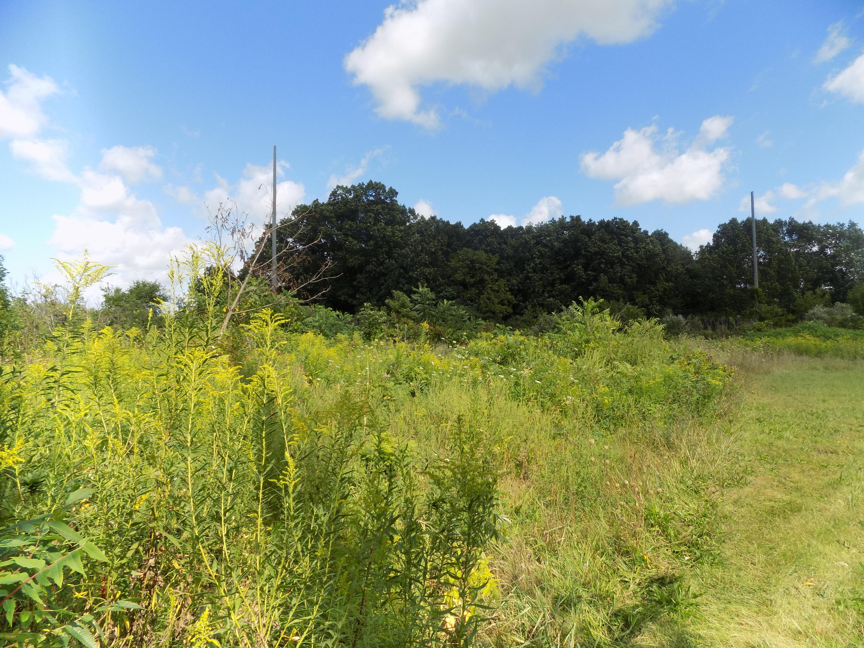 0 Mountain Road Property Photo 6
