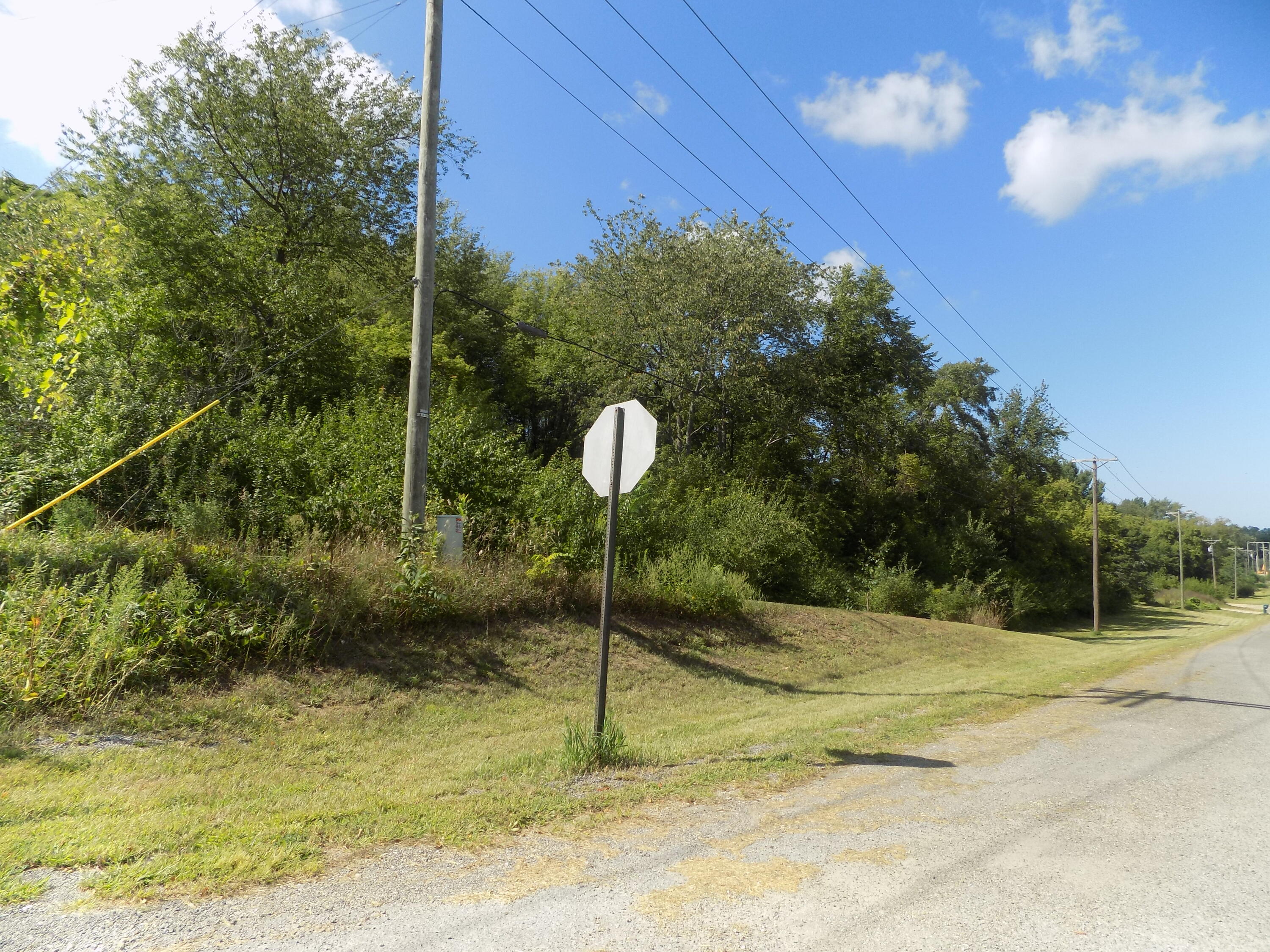 0 Mountain Road Property Photo 10
