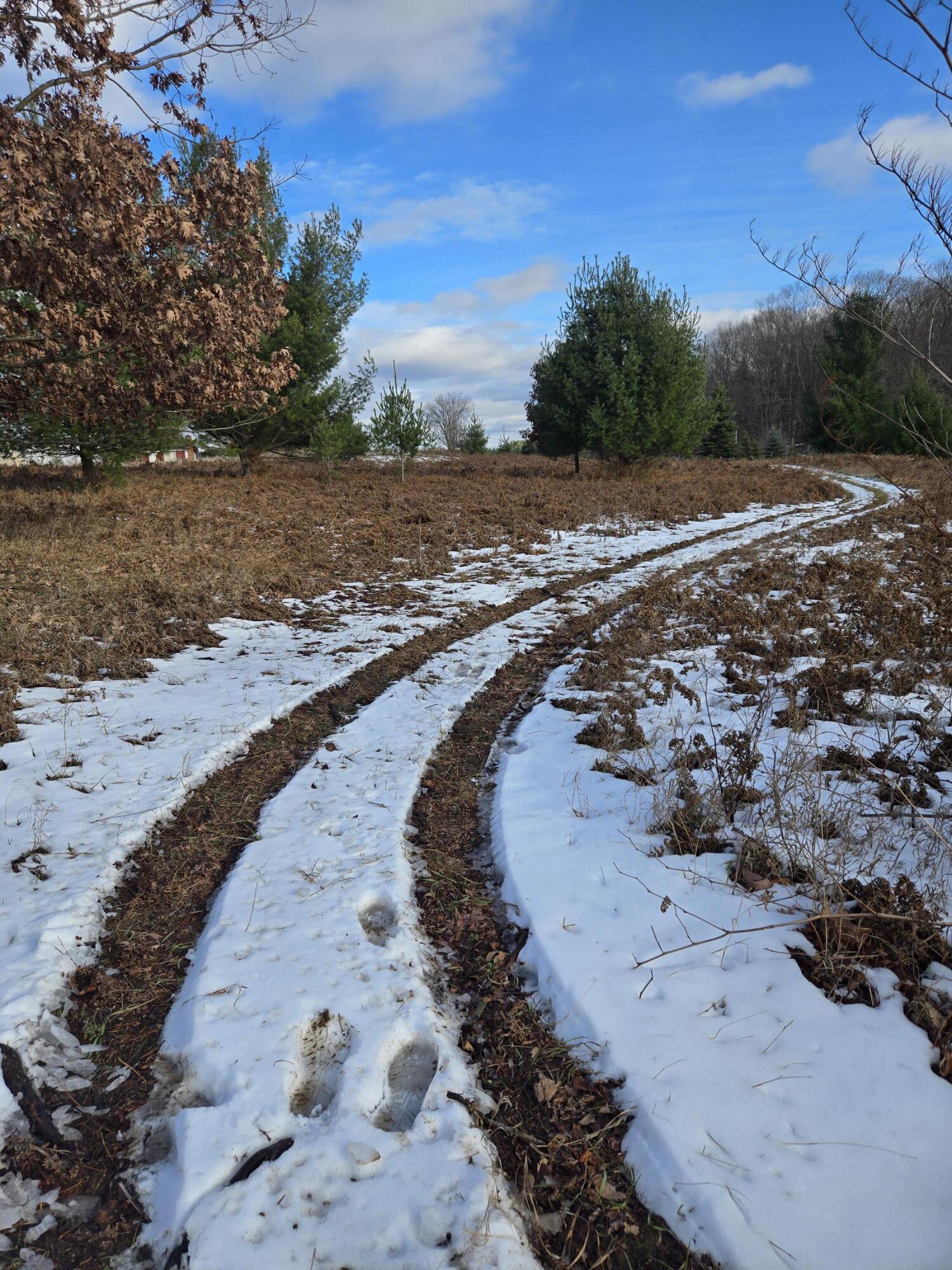 Lot 895 Lake Miramichi Drive Property Photo 1