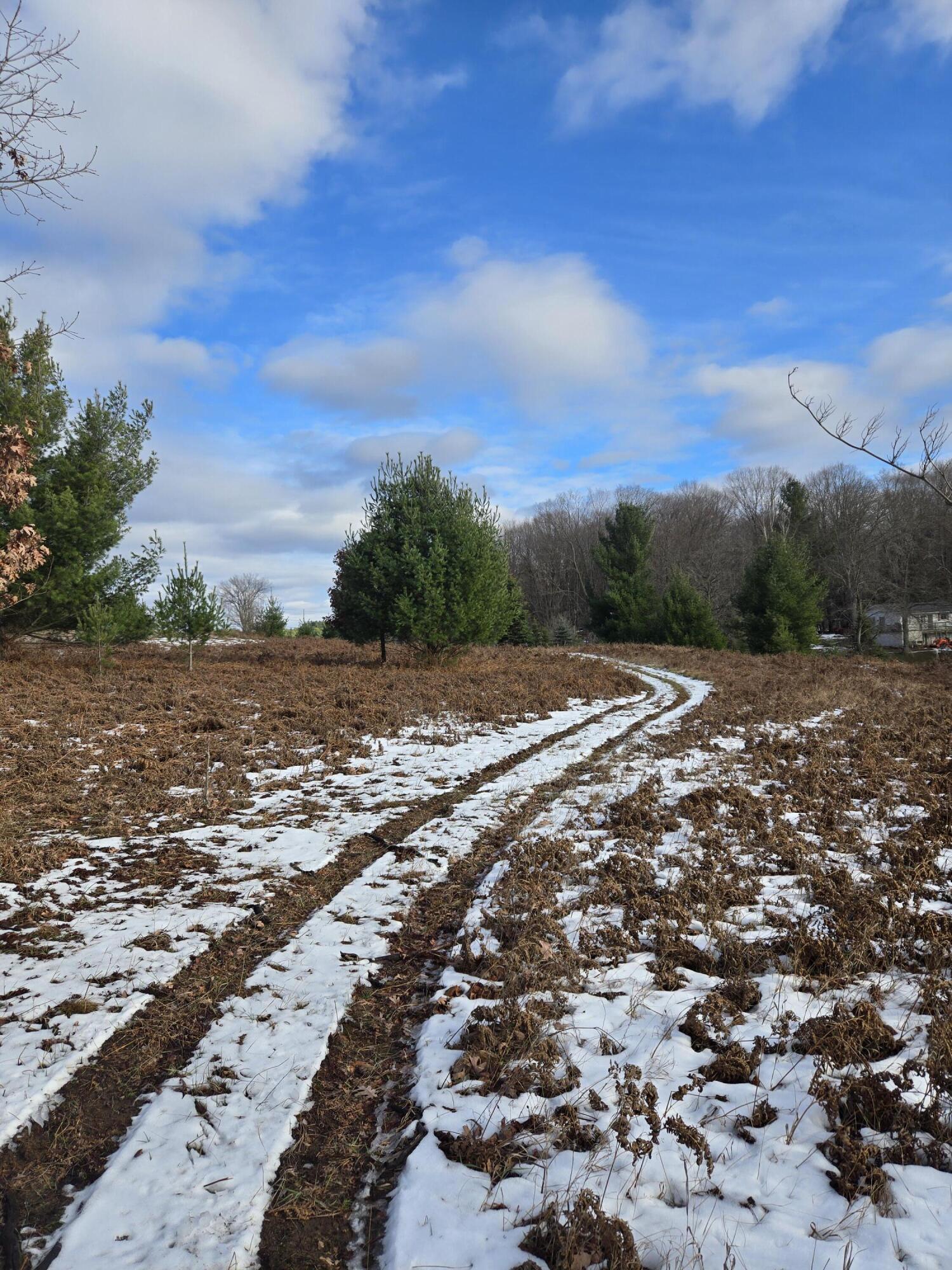 Lot 895 Lake Miramichi Drive Property Photo 3