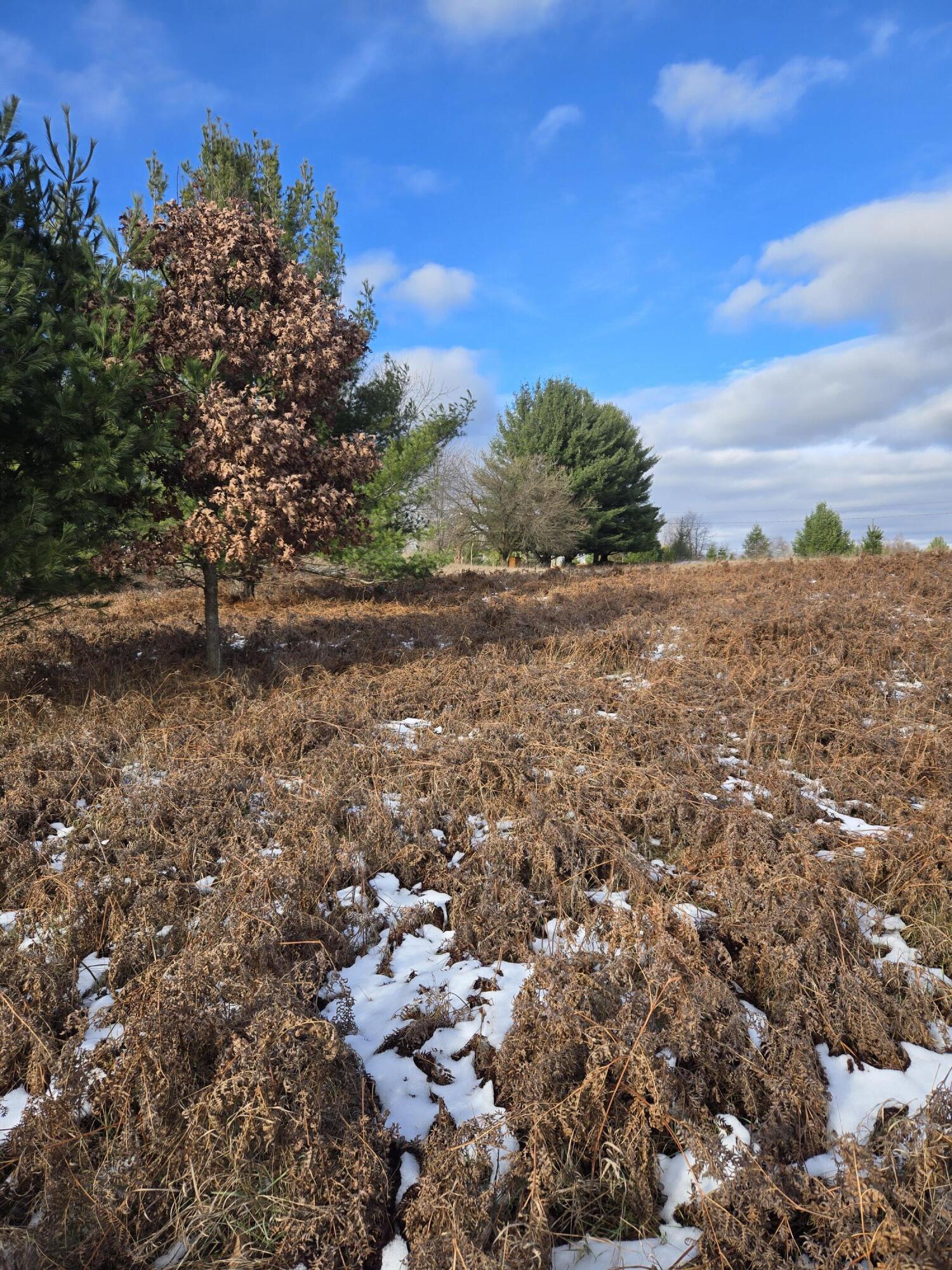 Lot 895 Lake Miramichi Drive Property Photo 4