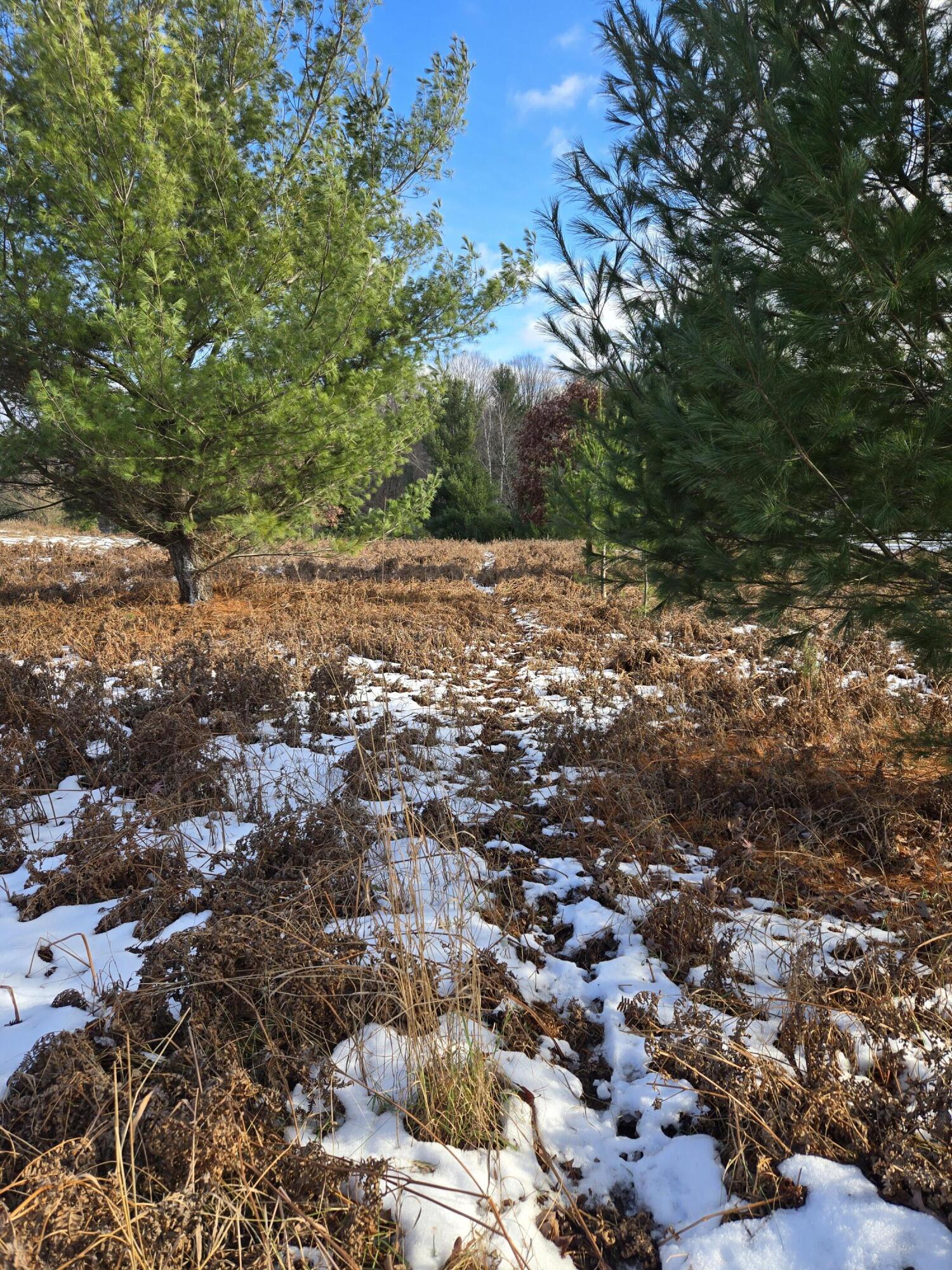 Lot 895 Lake Miramichi Drive Property Photo 9