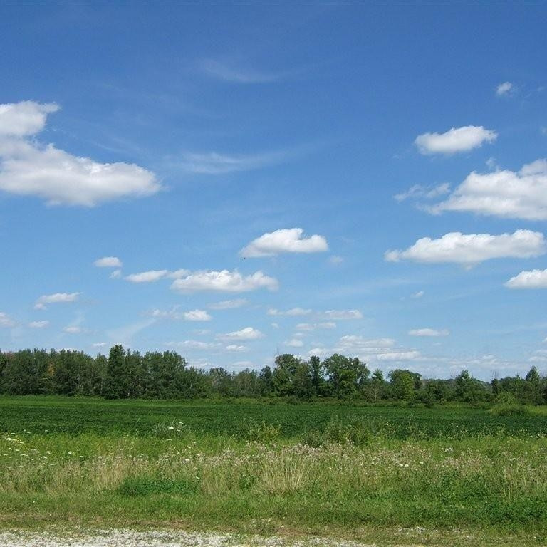 Almont Real Estate Listings Main Image