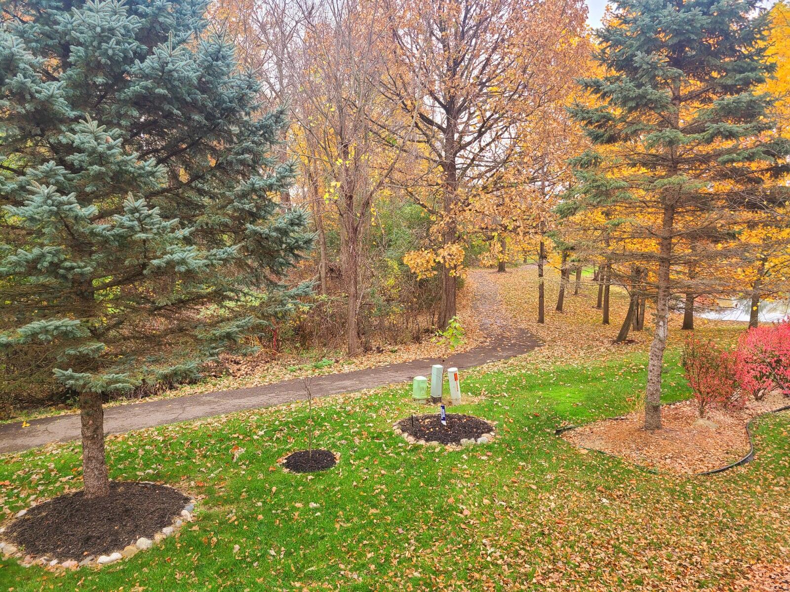 16544 Mulberry Way Property Photo 4