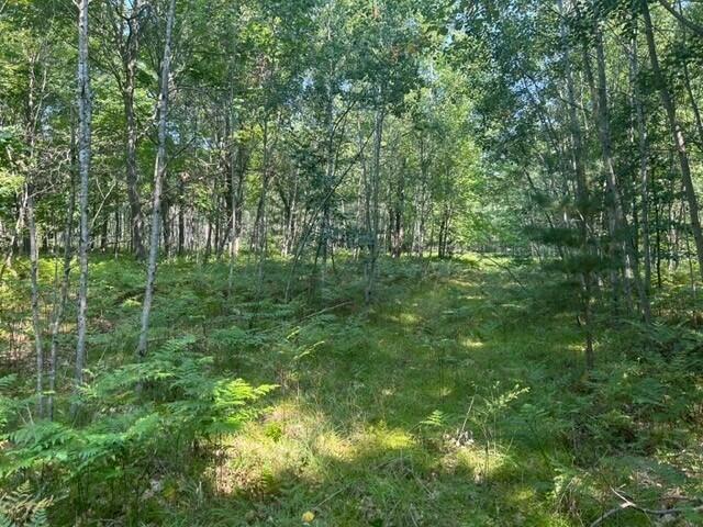 Nn W Erdman Road Property Photo