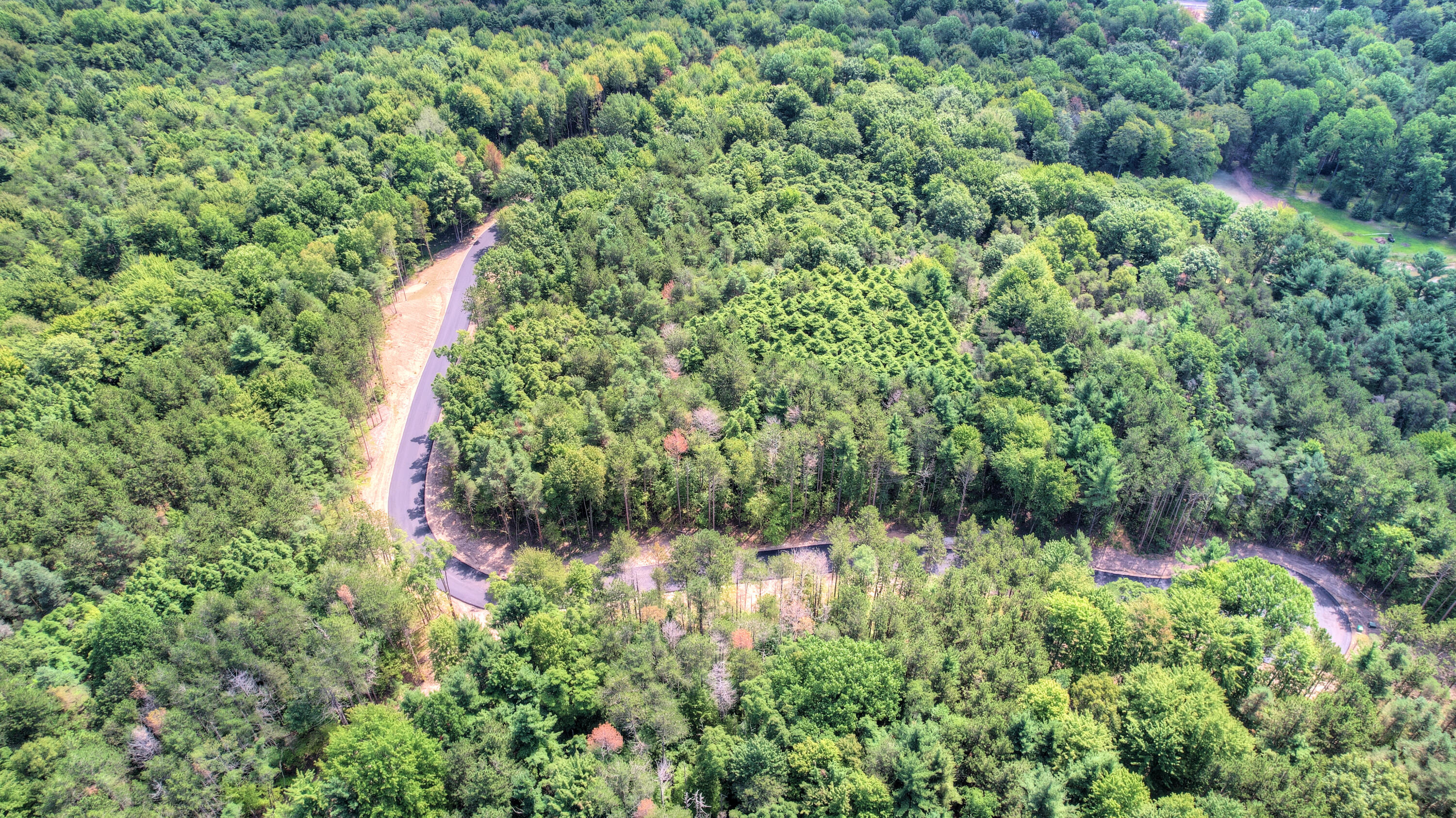 4121 Karcayja Trail Property Photo 5