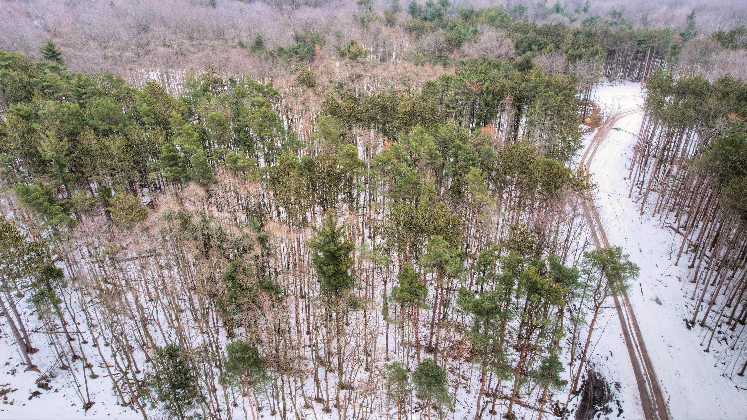 4121 Karcayja Trail Property Photo 13