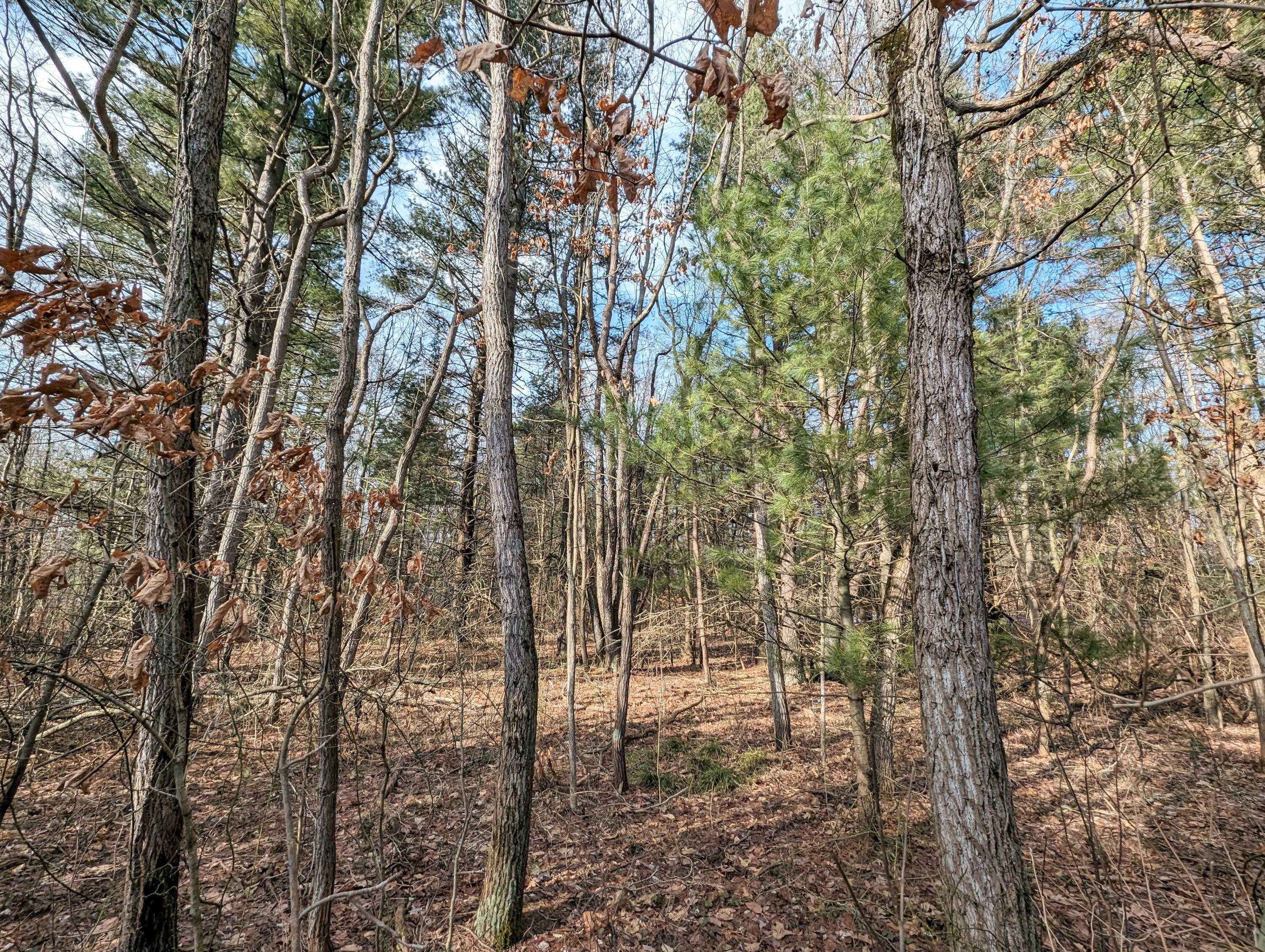 Vl Cr 388 Property Photo 3