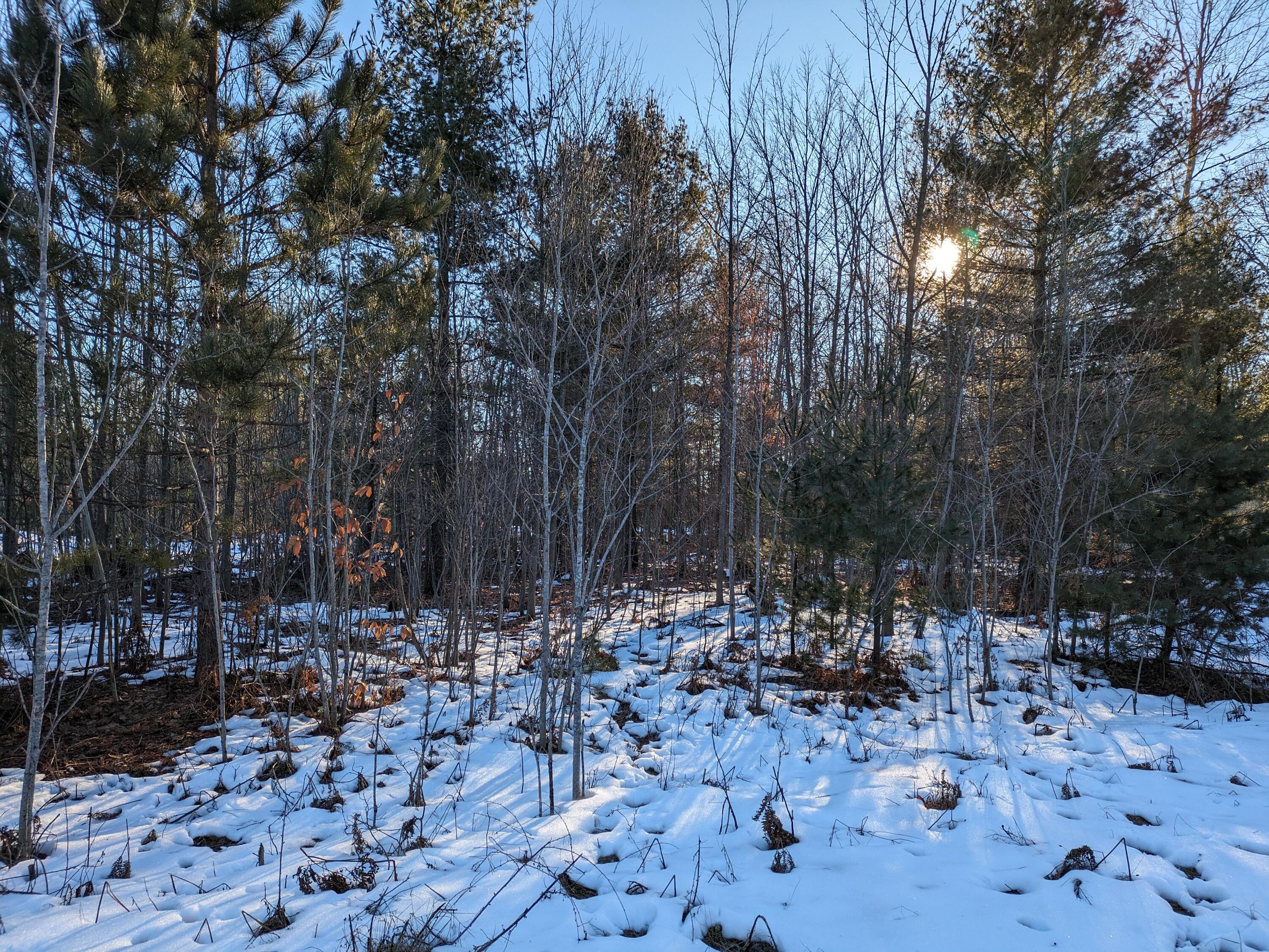 13 Bergstrom Drive Property Photo 1