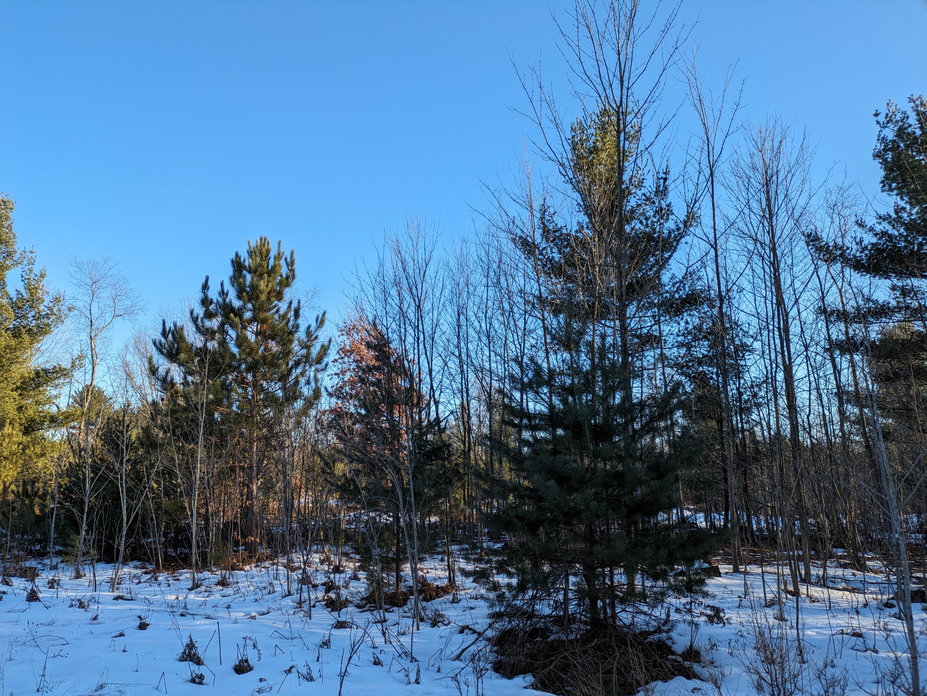 13 Bergstrom Drive Property Photo 2