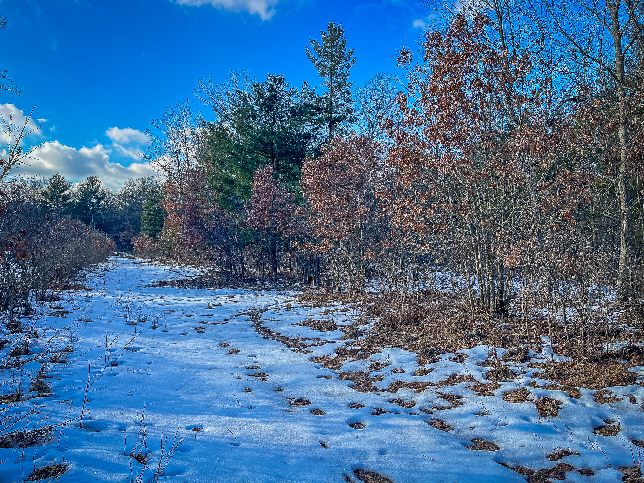Silver Creek Road Property Photo 19