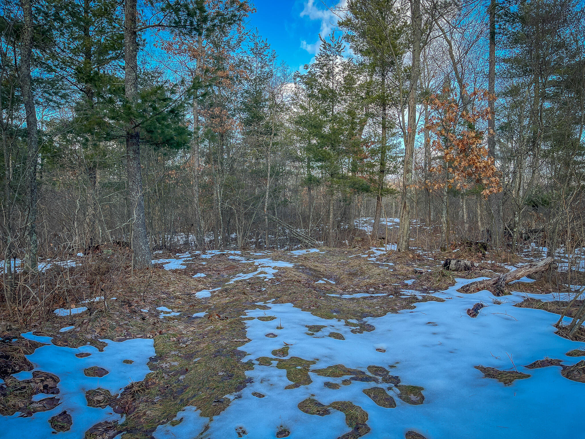 Silver Creek Road Property Photo 20