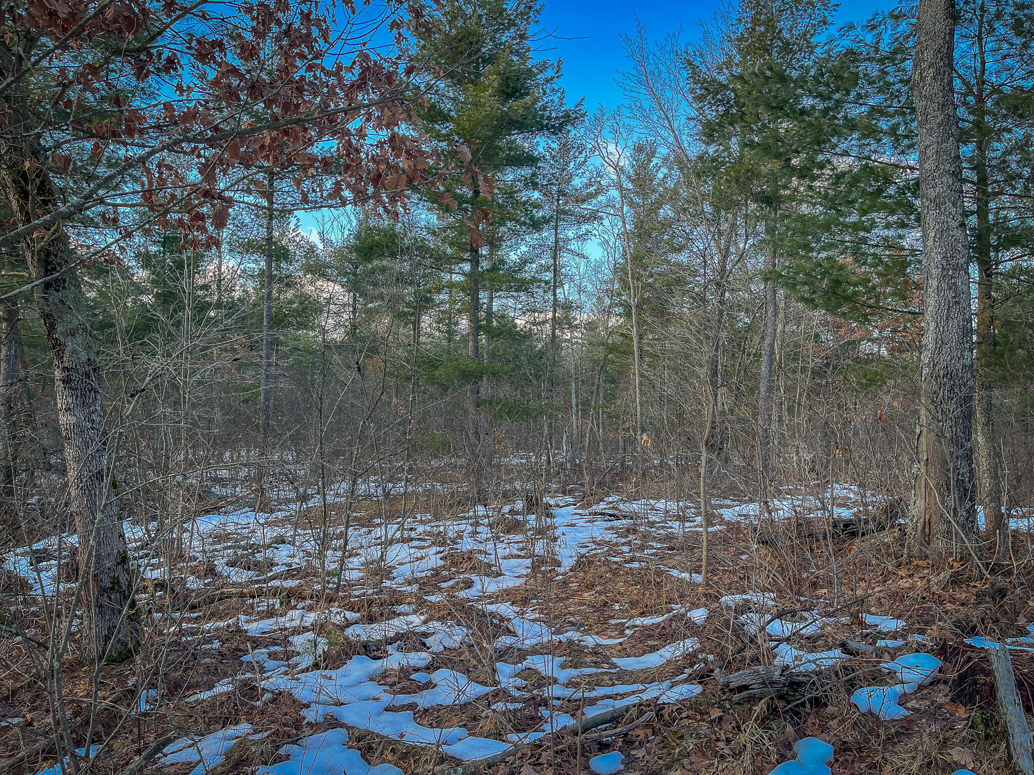 Silver Creek Road Property Photo 21