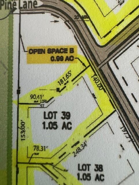 8445 Knotty Pine Lane, 39 Property Photo 3