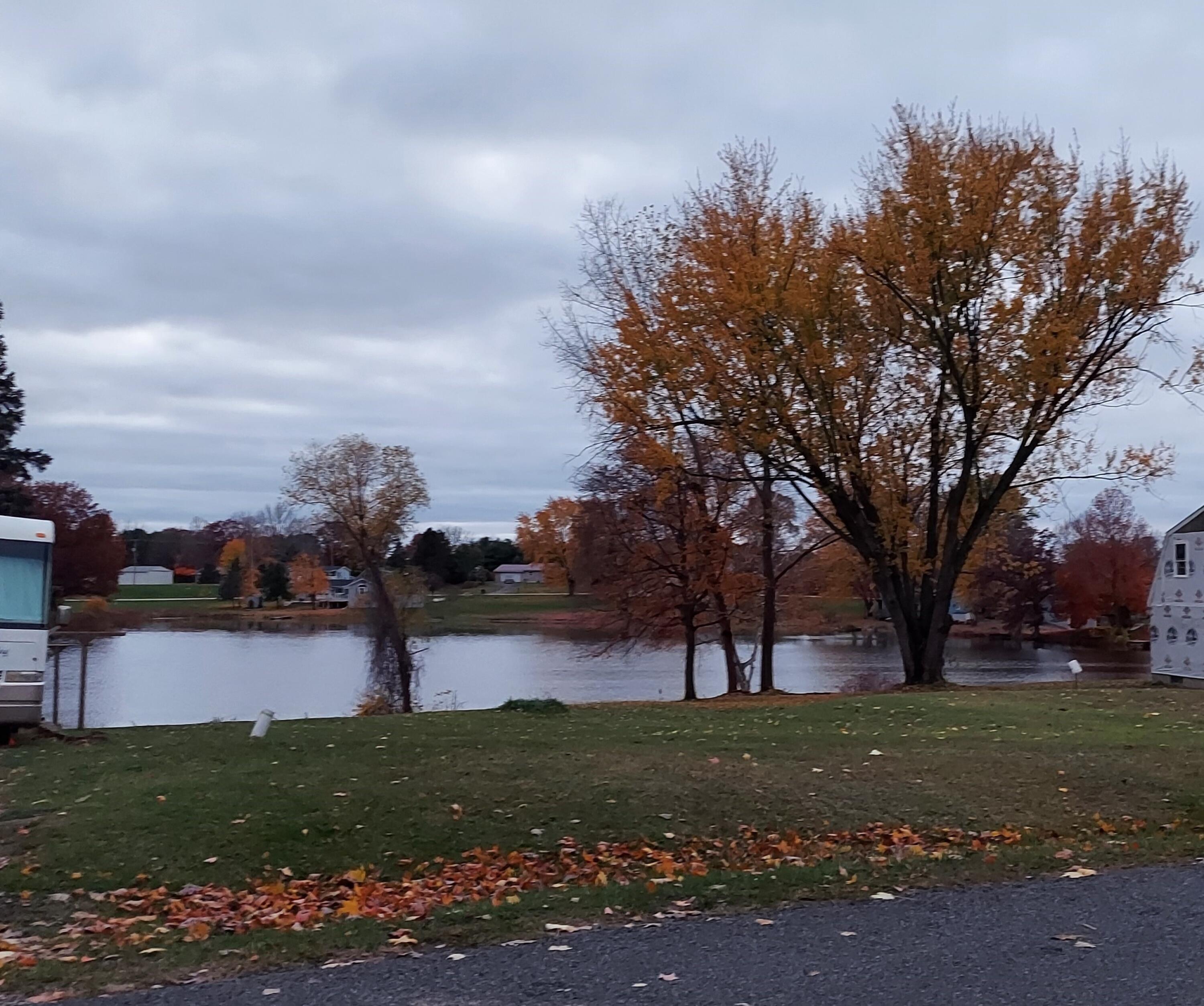 Lot 215 E Shore Drive Property Photo 4