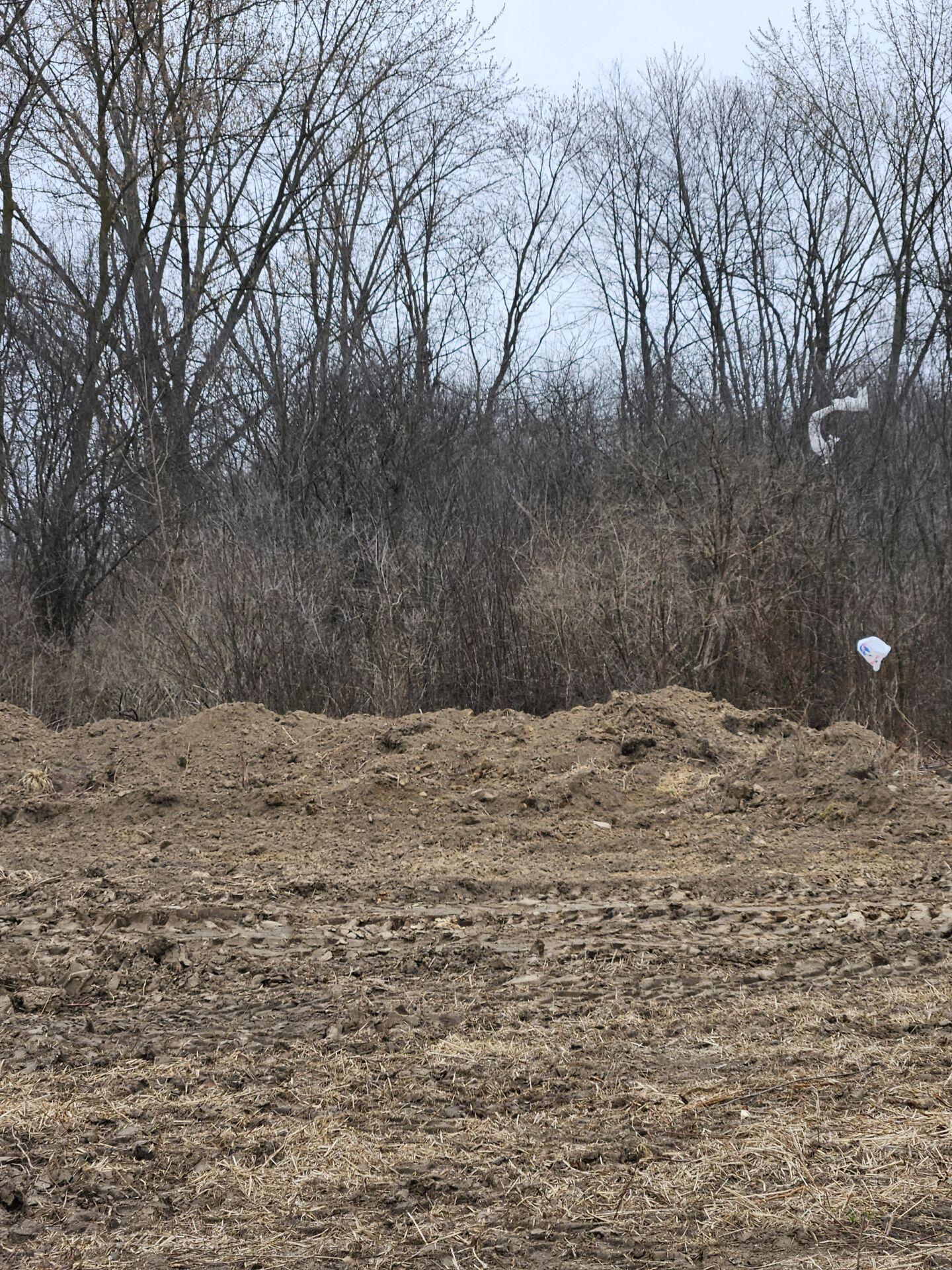 Vl Spring Arbor Road Property Photo 2