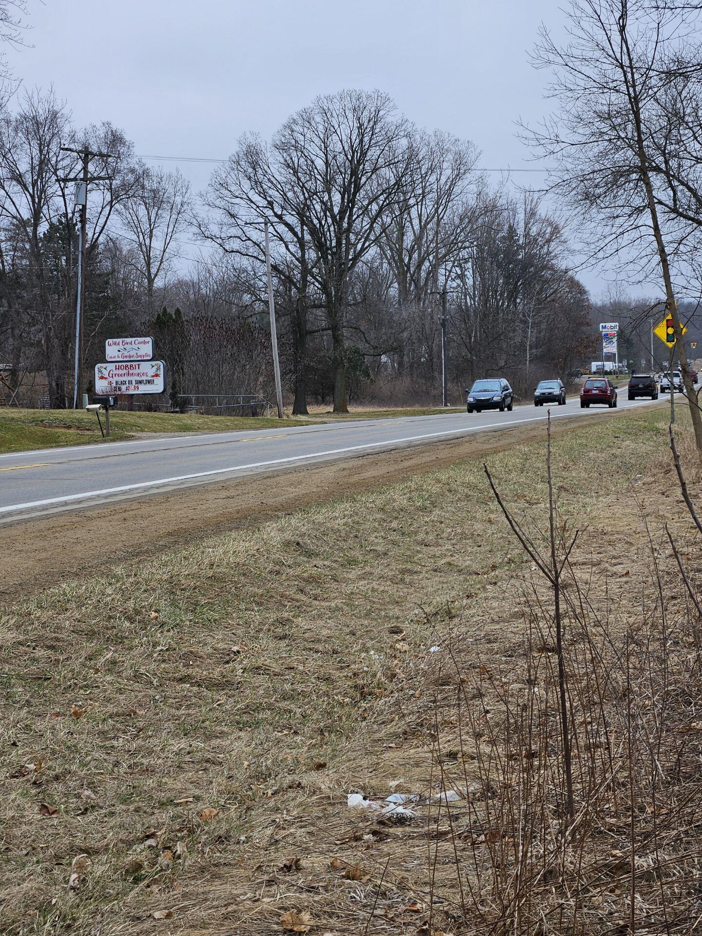 Vl Spring Arbor Road Property Photo 4