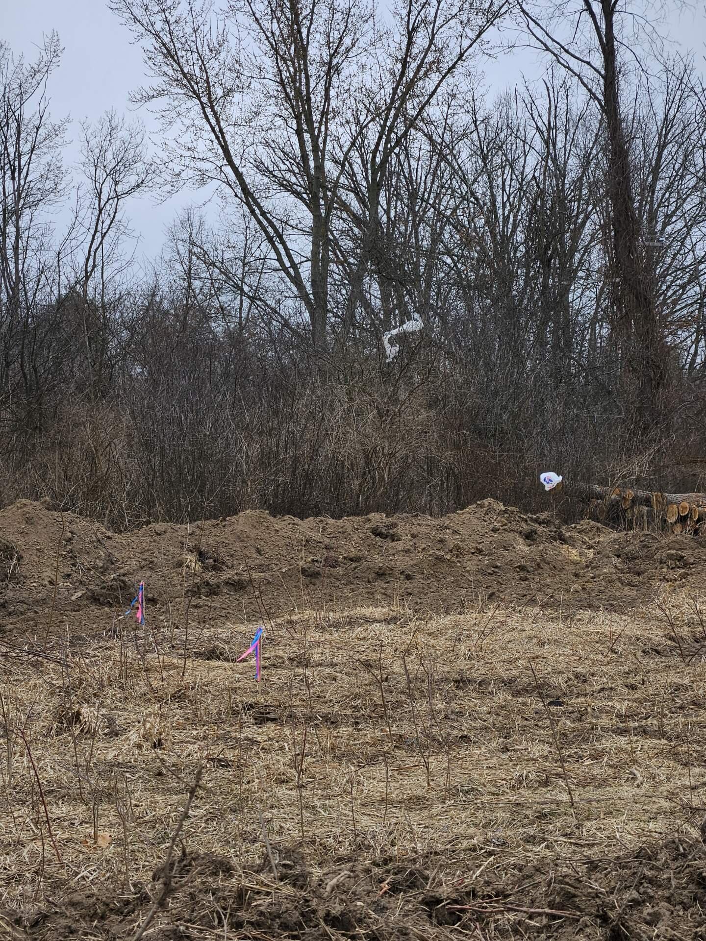 Vl Spring Arbor Road Property Photo 5