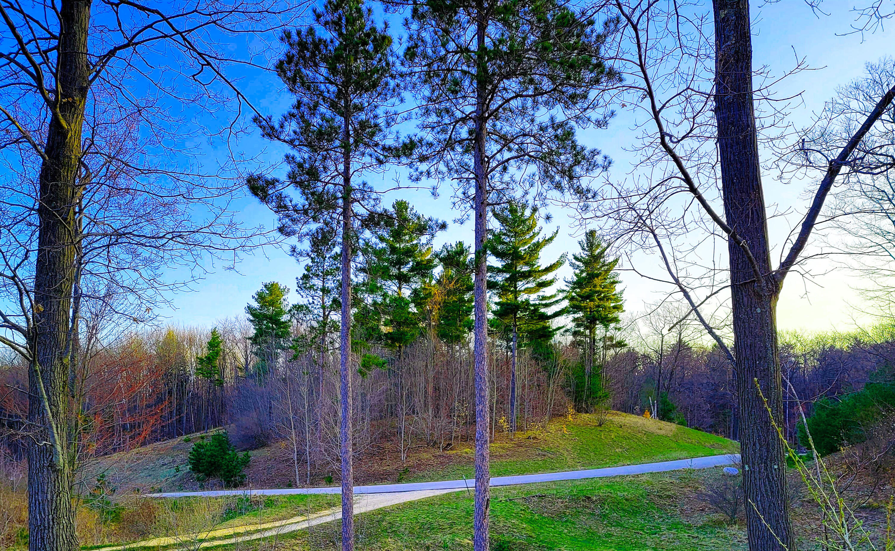Indigo Trail Property Photo