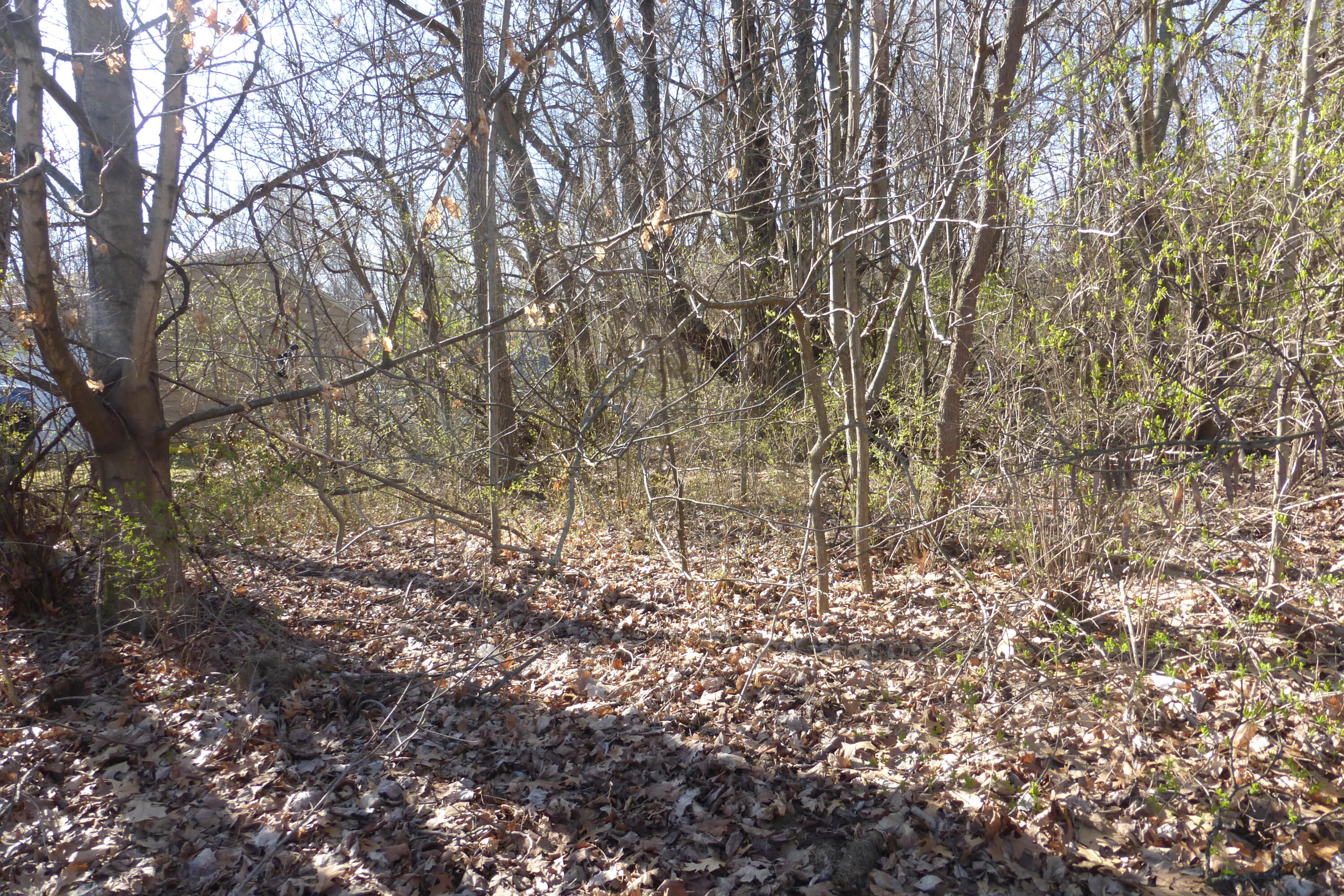 000 Kathryn Property Photo