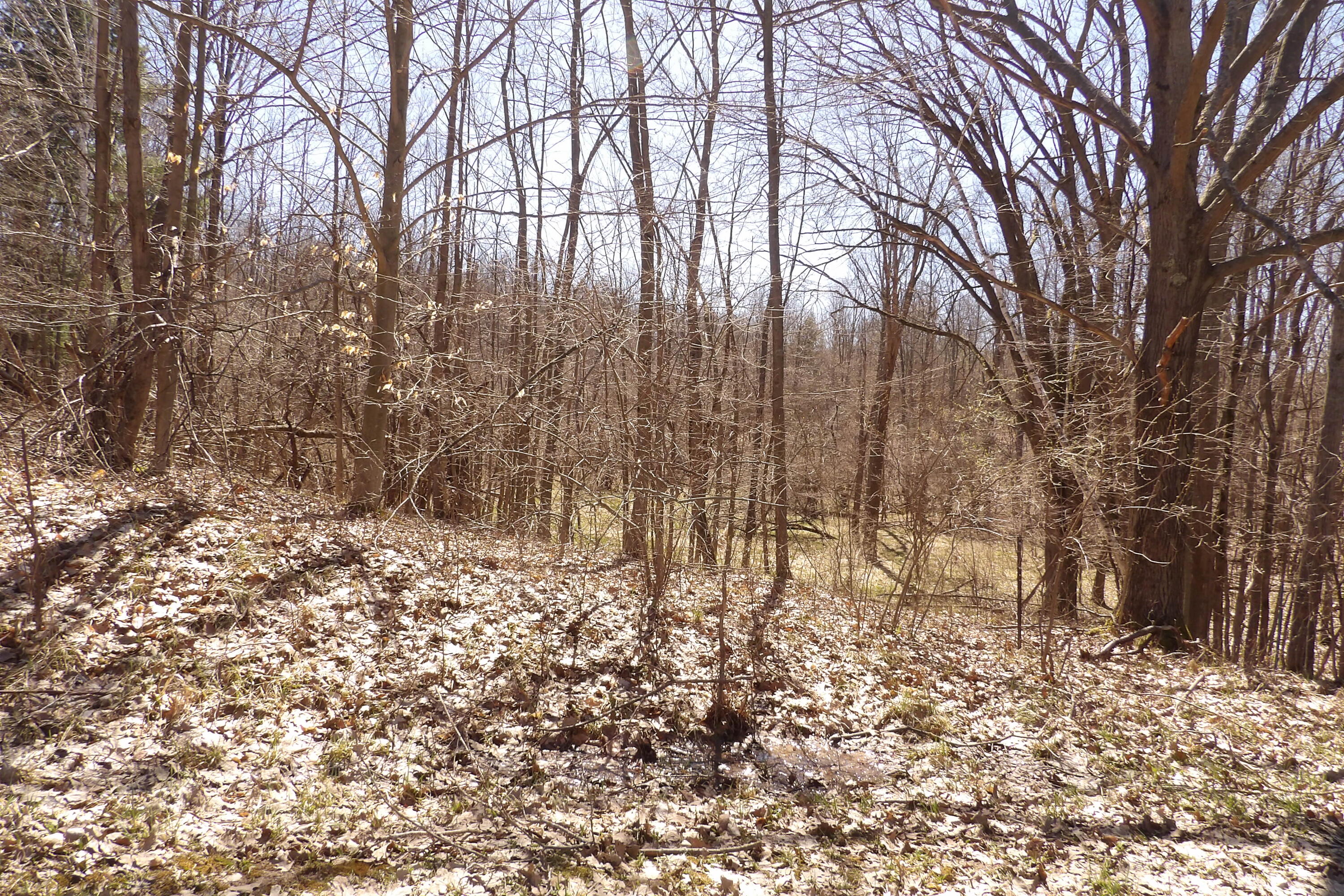 23042 Miramichi Drive Property Photo 3