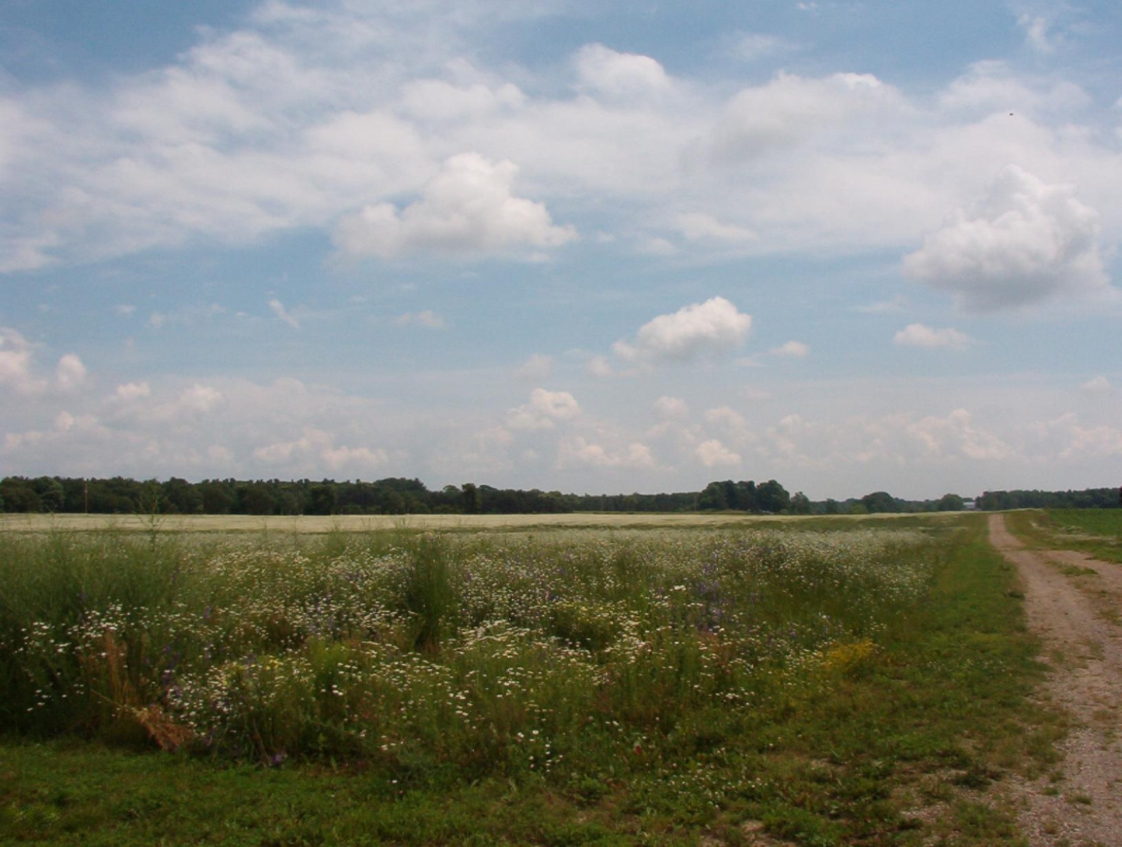 2154 17 Mile Road Parcel A Property Photo 2