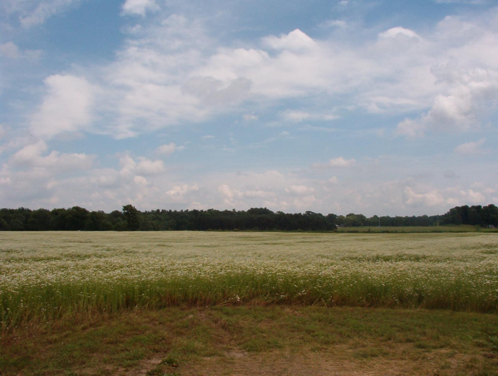 2154 17 Mile Road Parcel A Property Photo 3