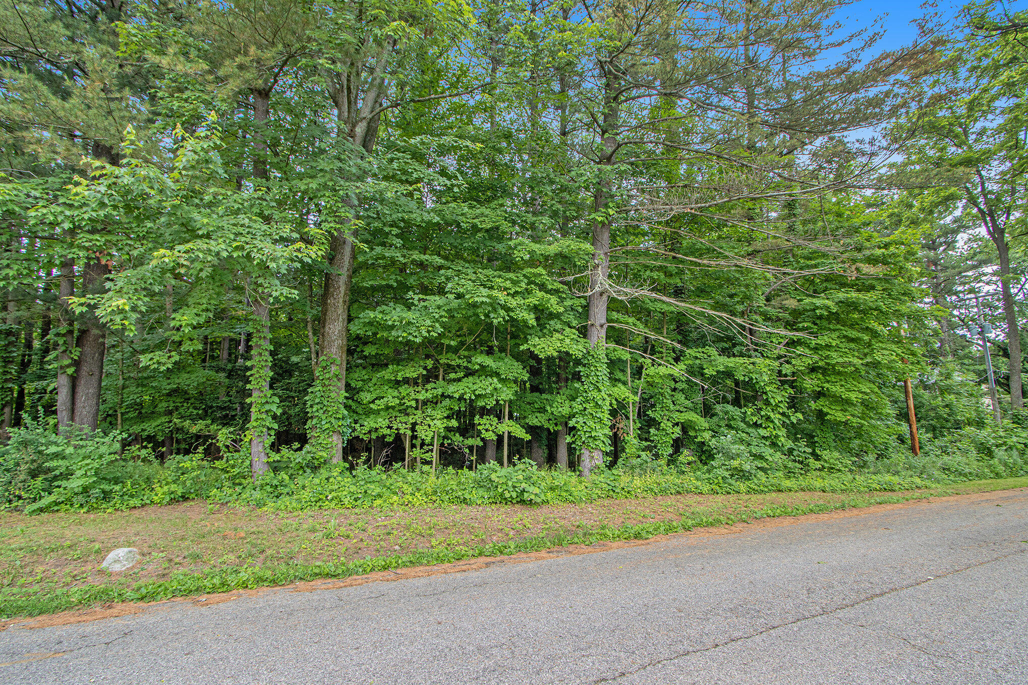171 Thomas Street Property Photo 4
