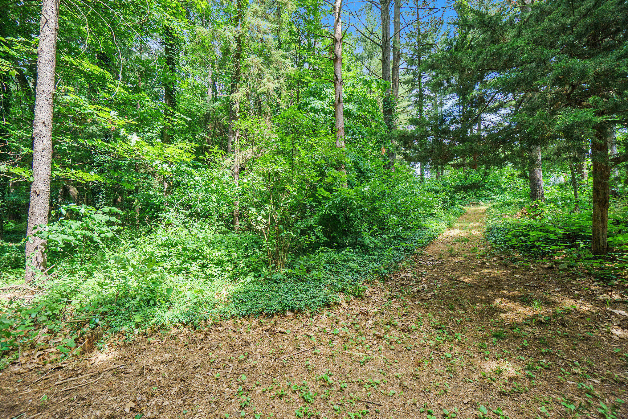 171 Thomas Street Property Photo 6