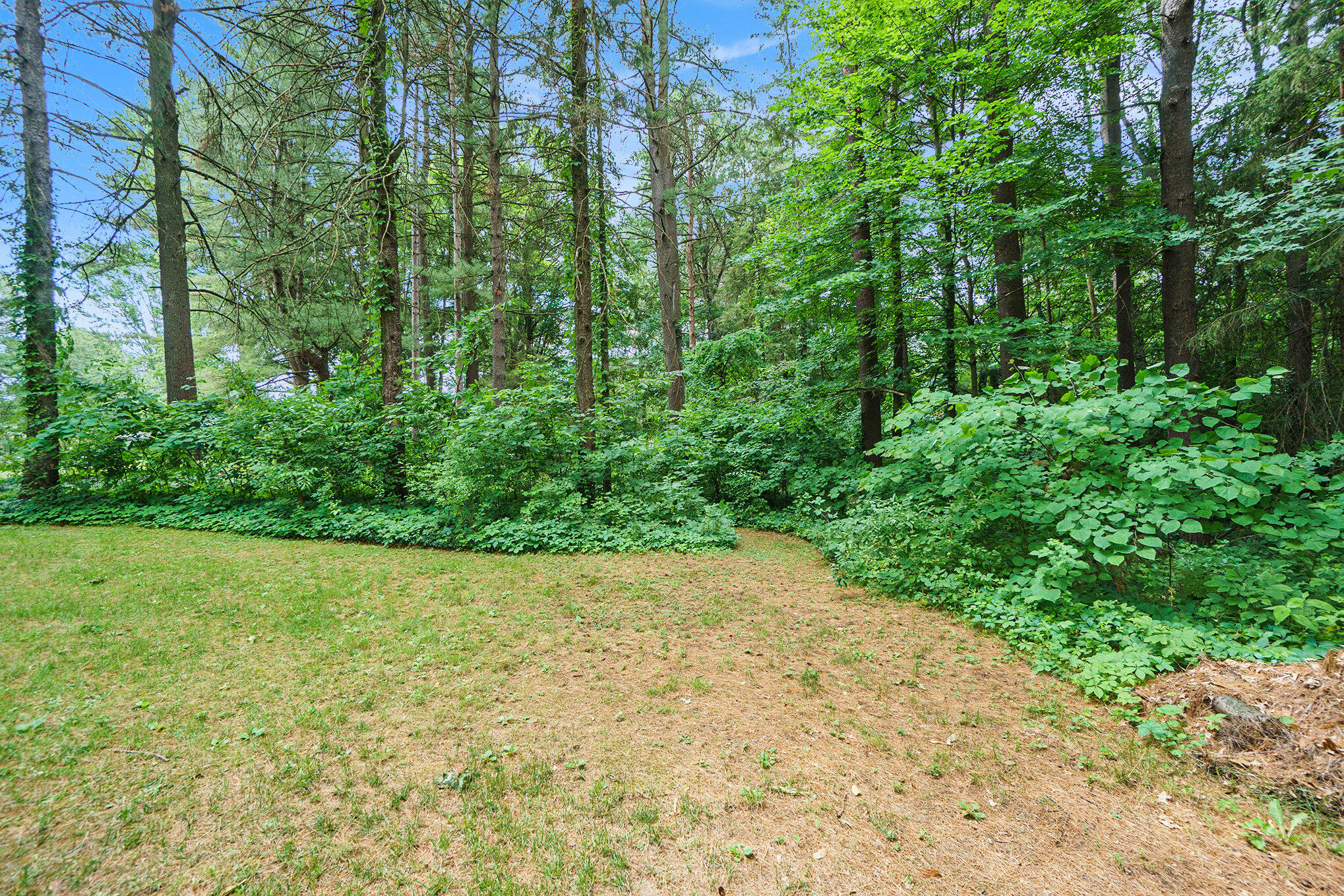 171 Thomas Street Property Photo 13