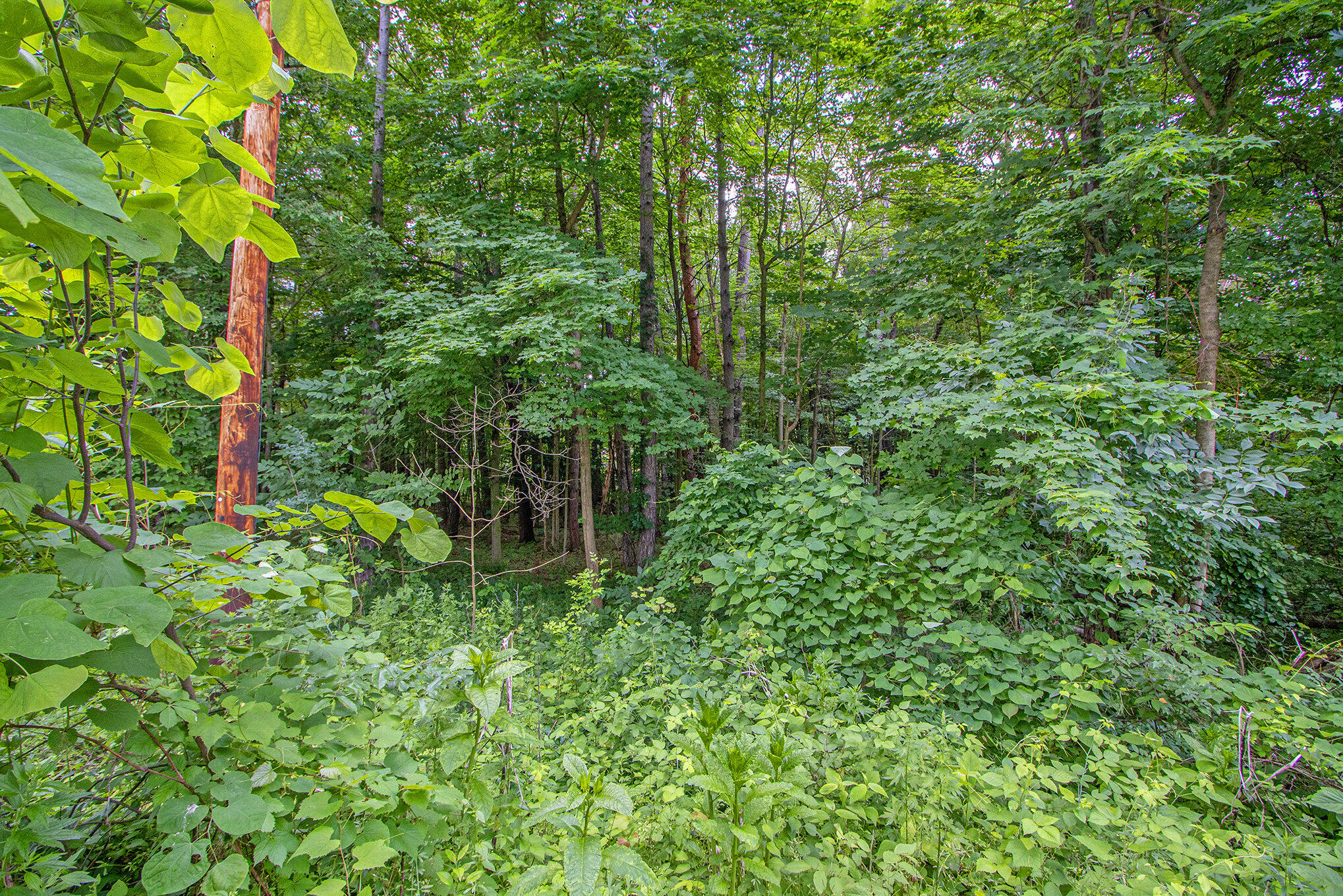 171 Thomas Street Property Photo 20
