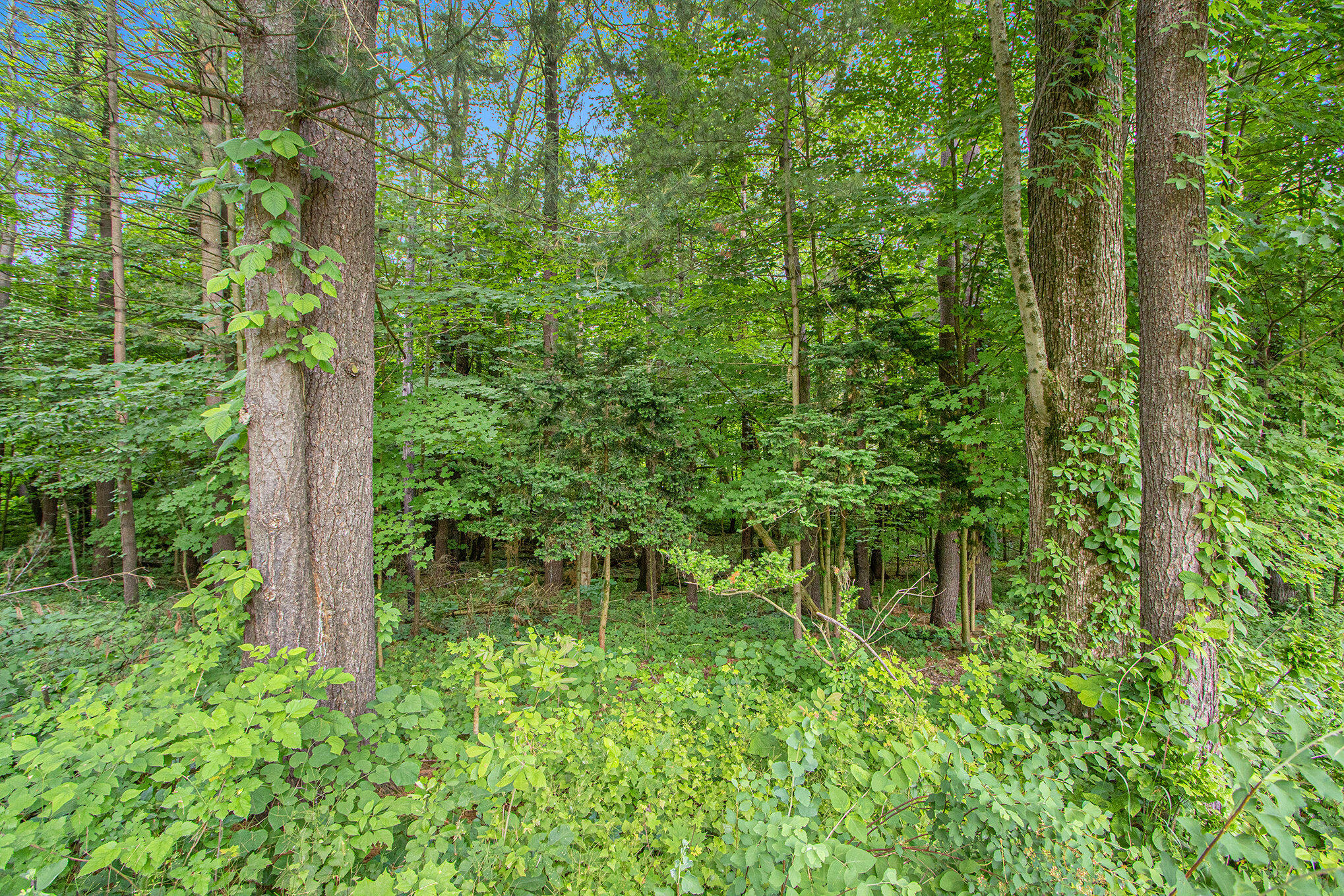 171 Thomas Street Property Photo 21