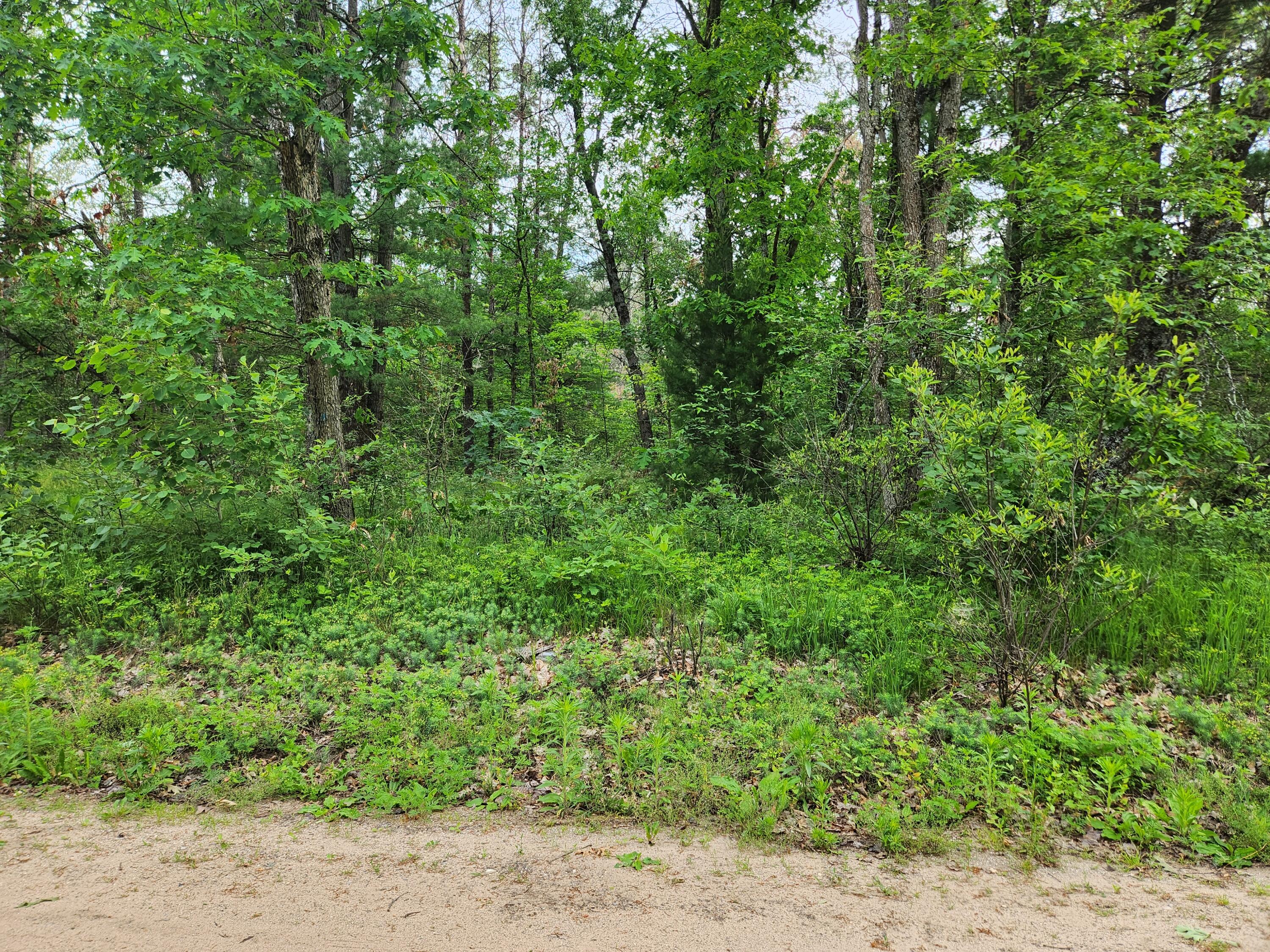 Vl E Palm Property Photo