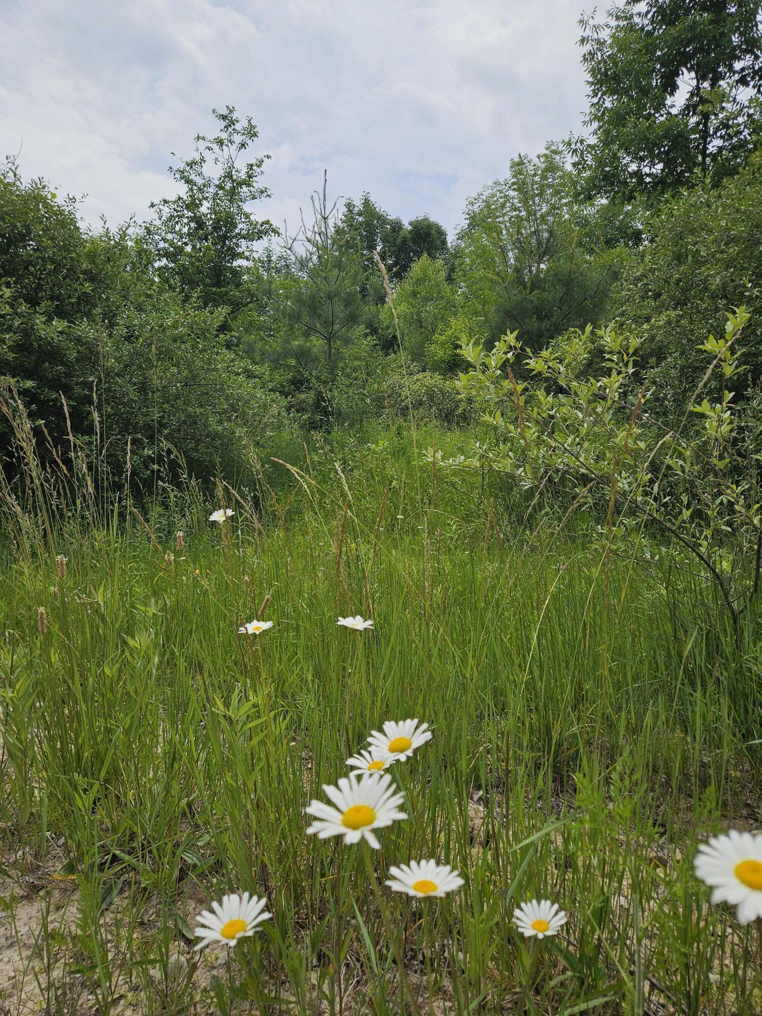 00 Pawnee Trail Property Photo