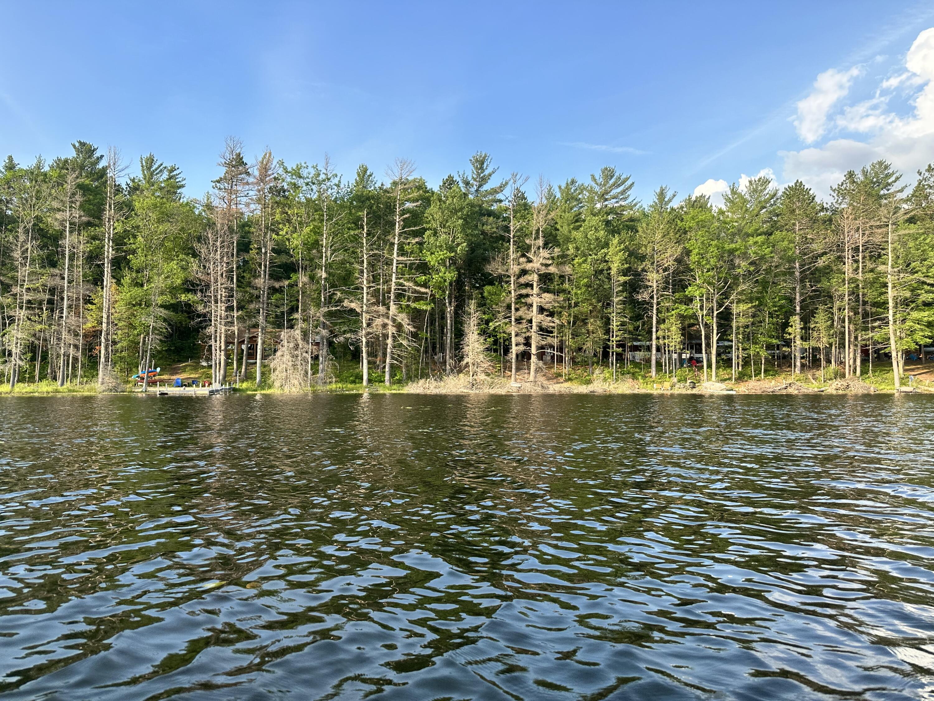 3797 Wequas Lake Road Property Photo 12