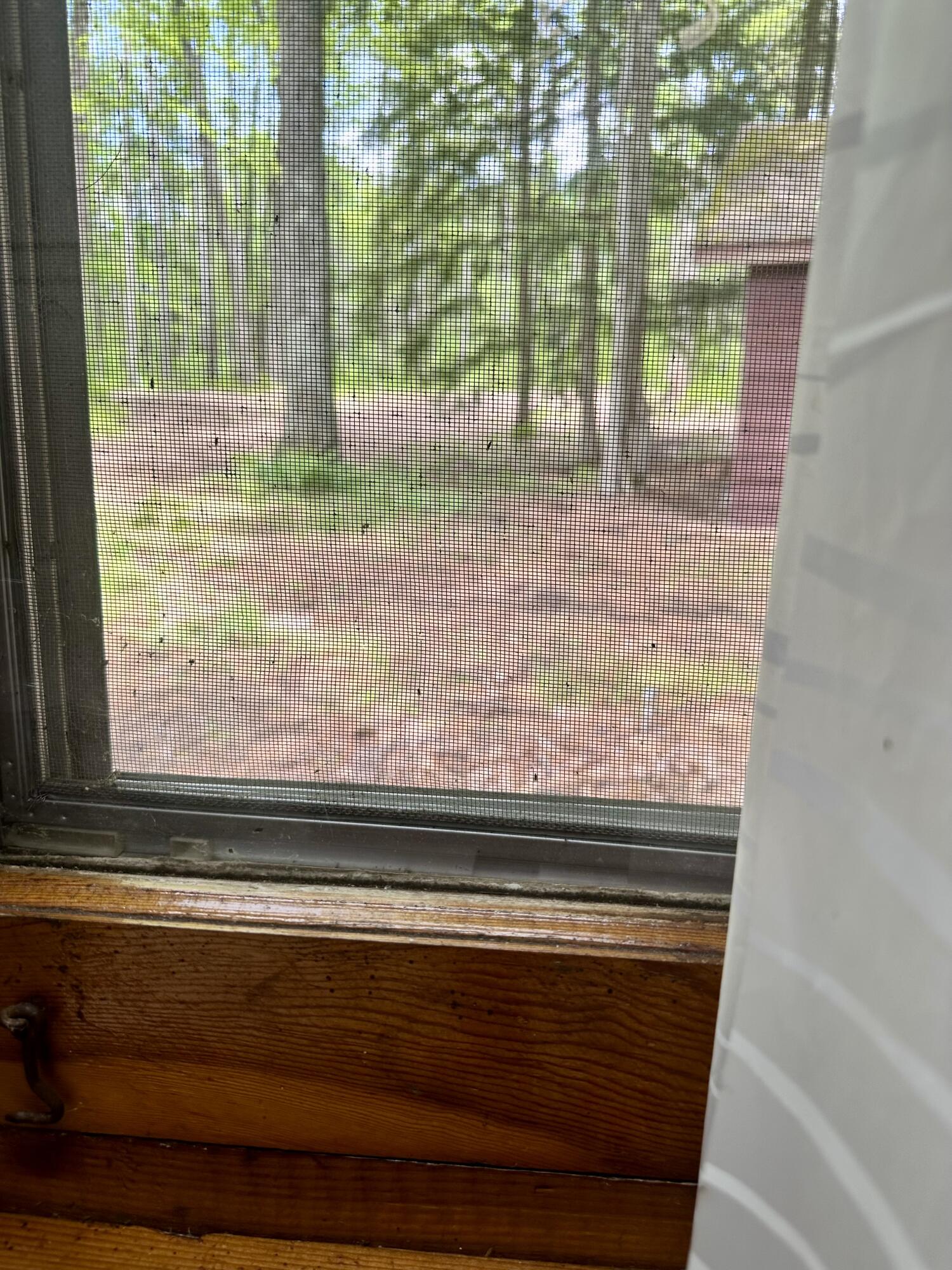 3797 Wequas Lake Road Property Photo 29