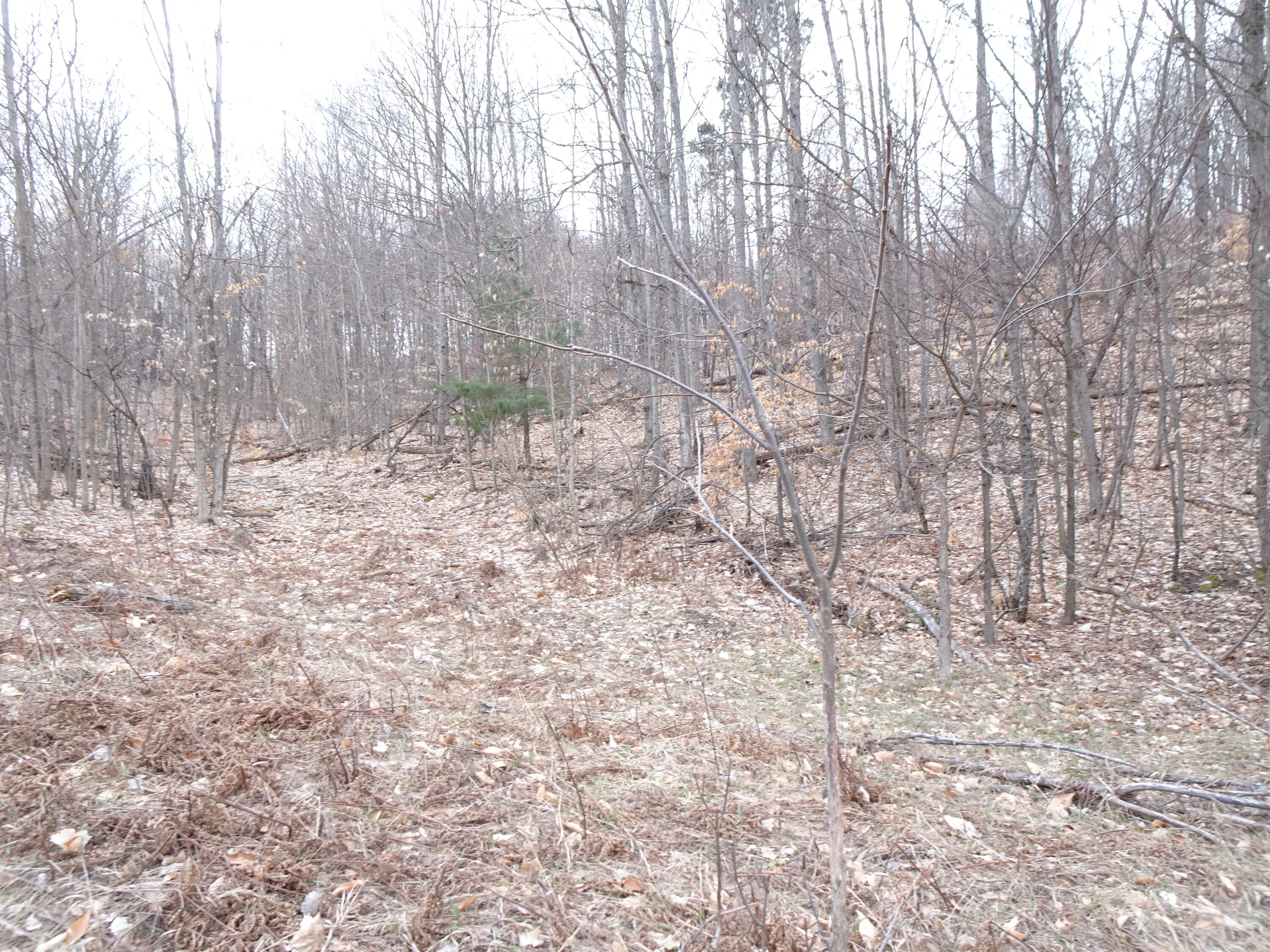 M Chief Road Property Photo